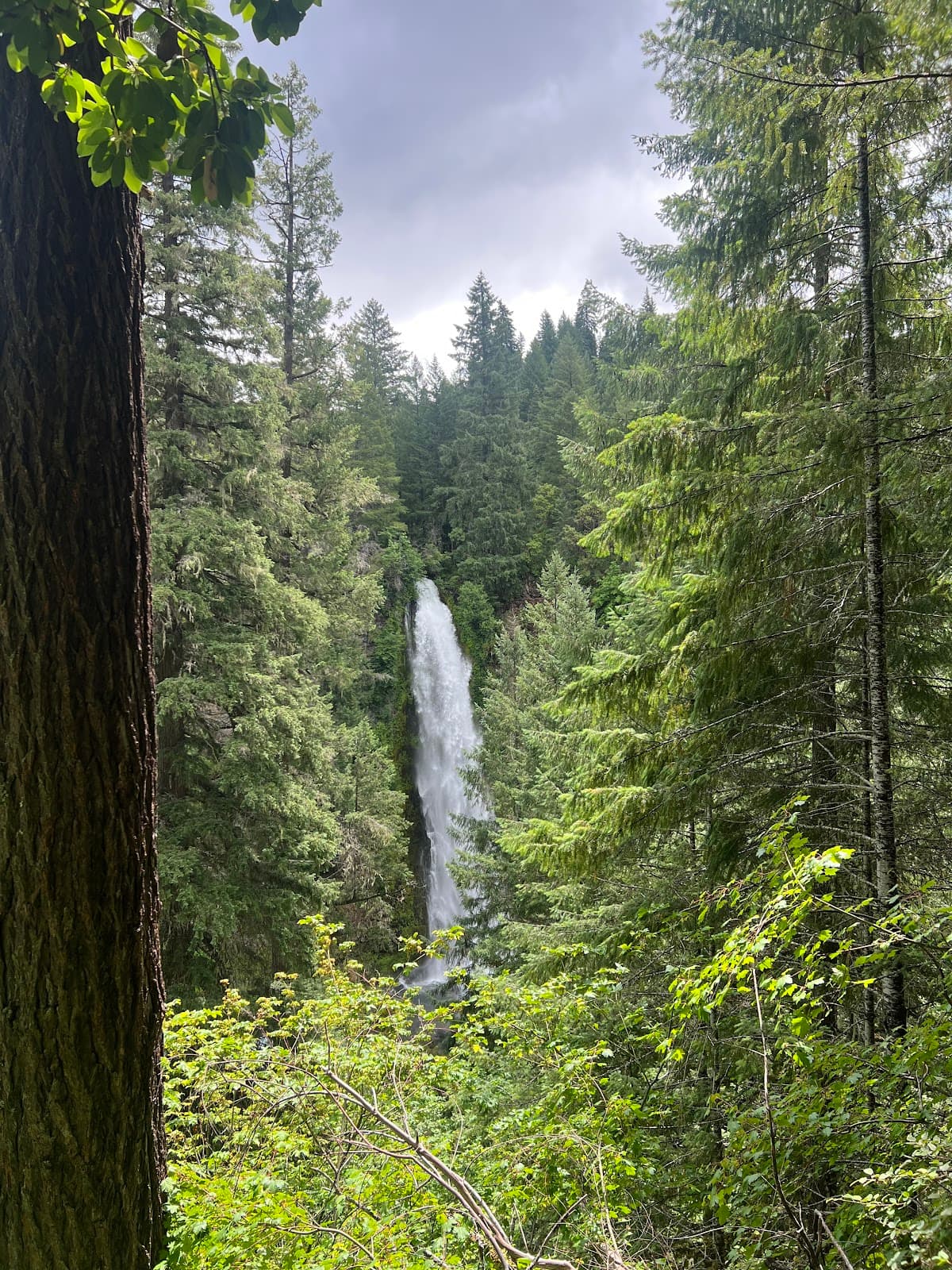 Barr Creek Falls - Image 1