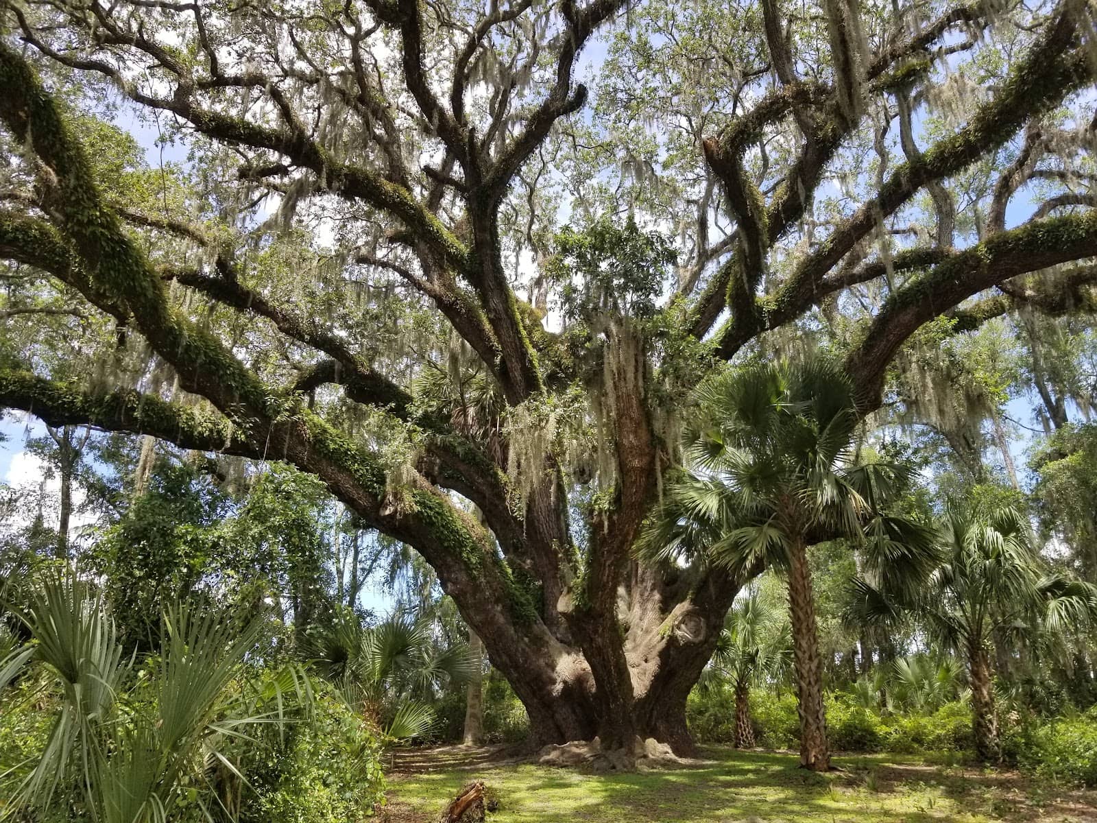 Peaceful Hiking Trails