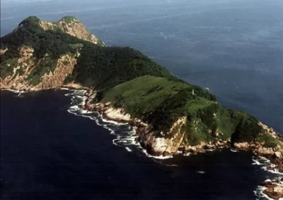 Ilha da Queimada Grande (Snake Island) - Image 1