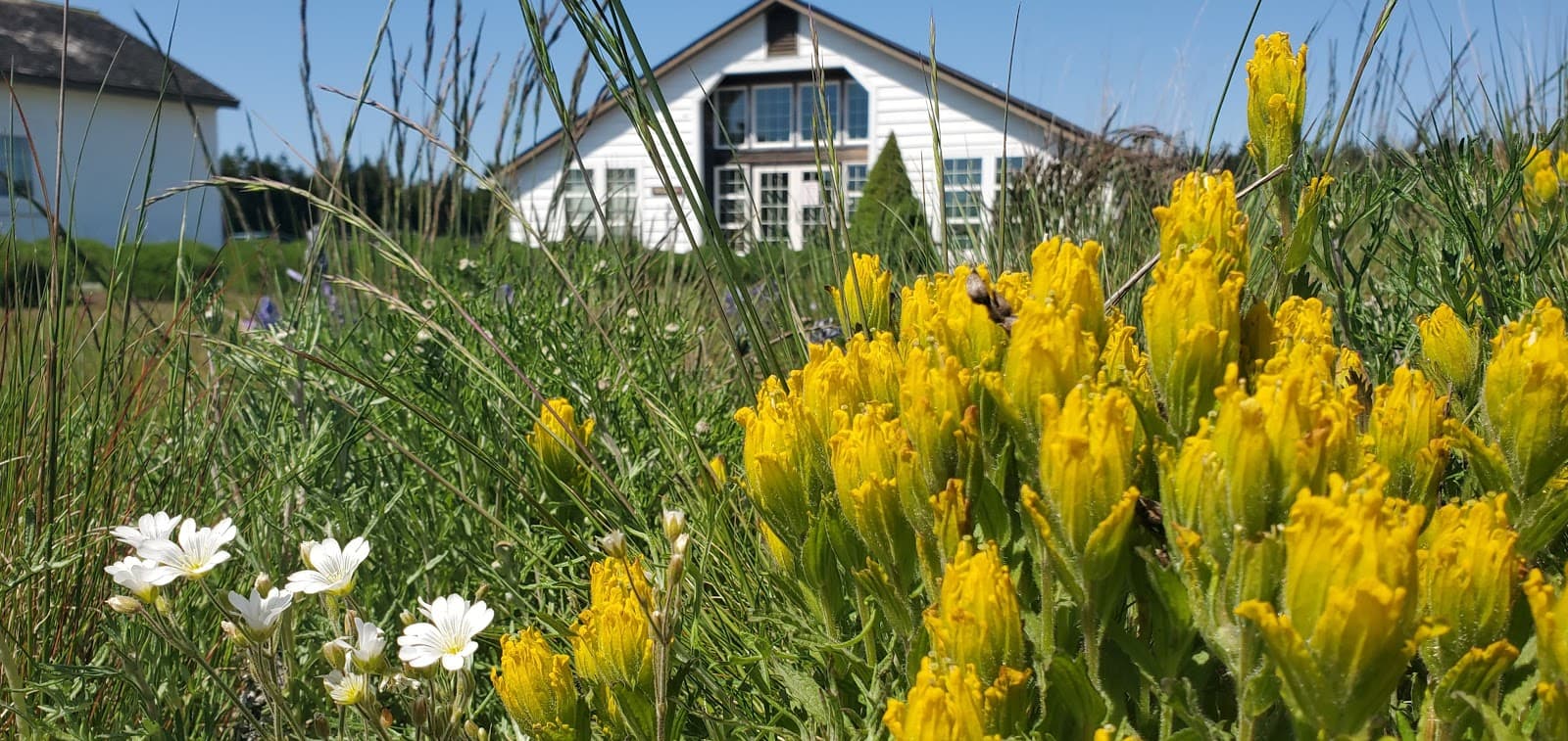 Pacific Rim Institute Prairie Preserve - Image 1