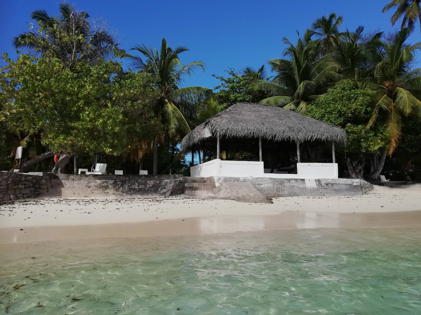 World War II History