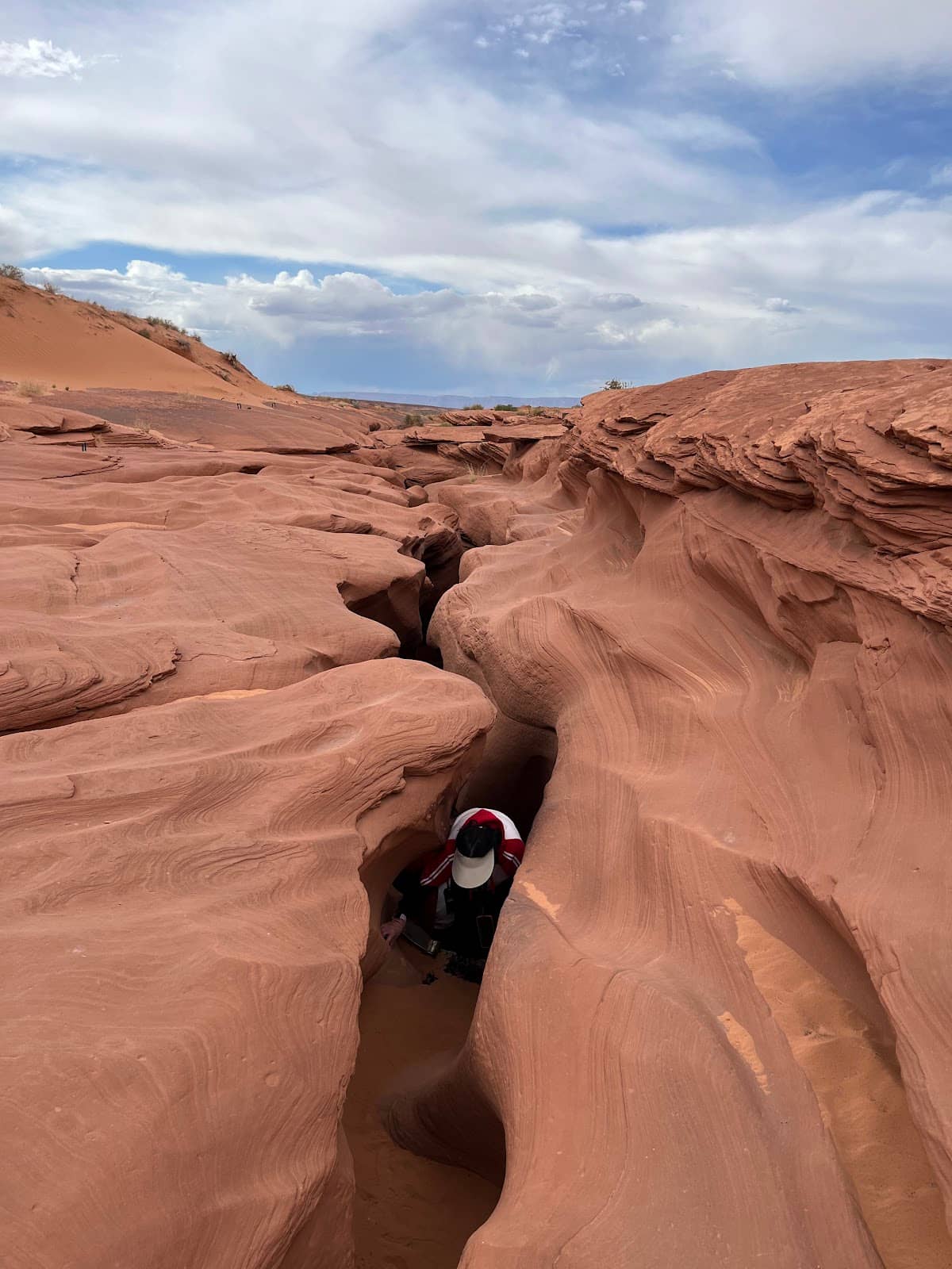 Navajo Guide Insights