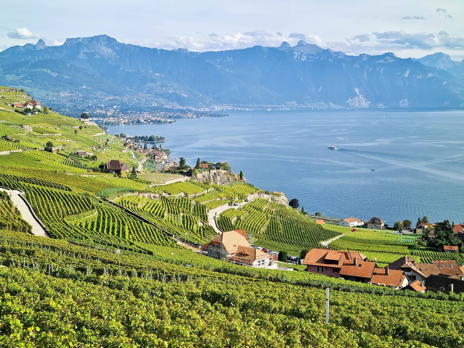 Lavaux Vinorama
