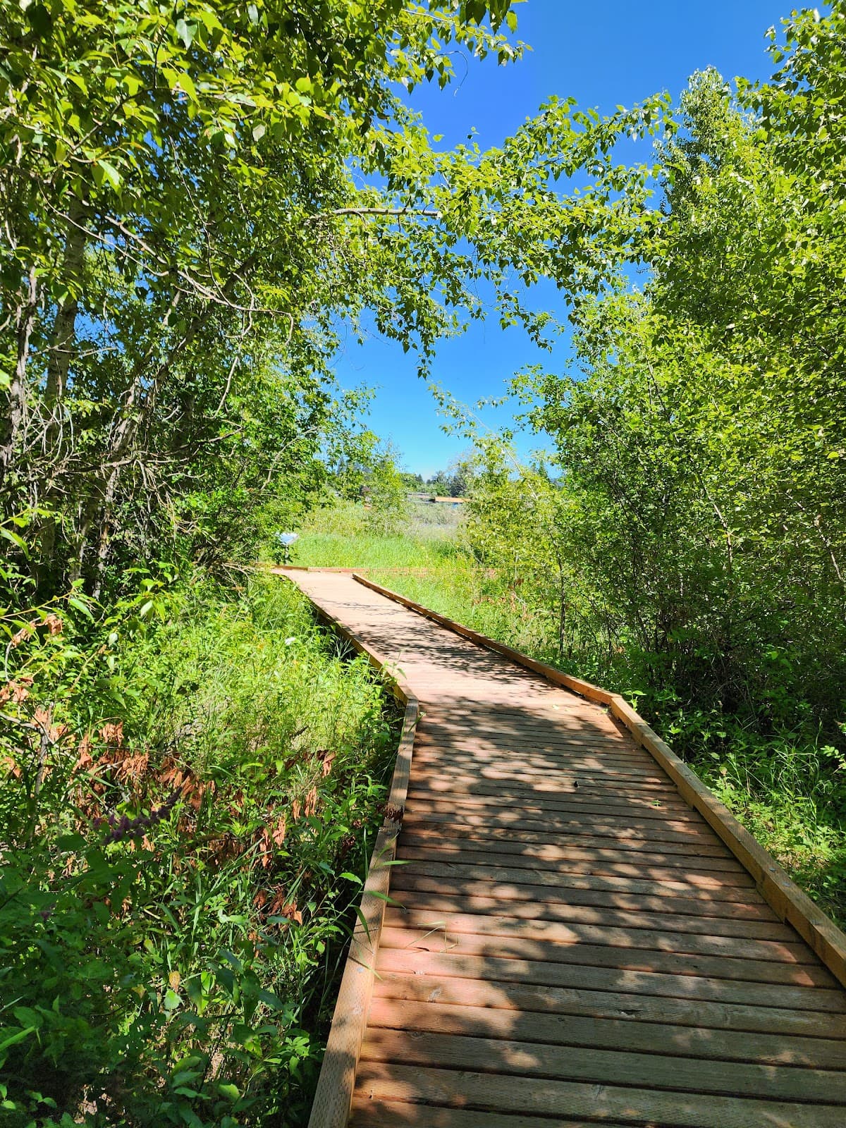 Blackwell Island Recreation Area - Image 1