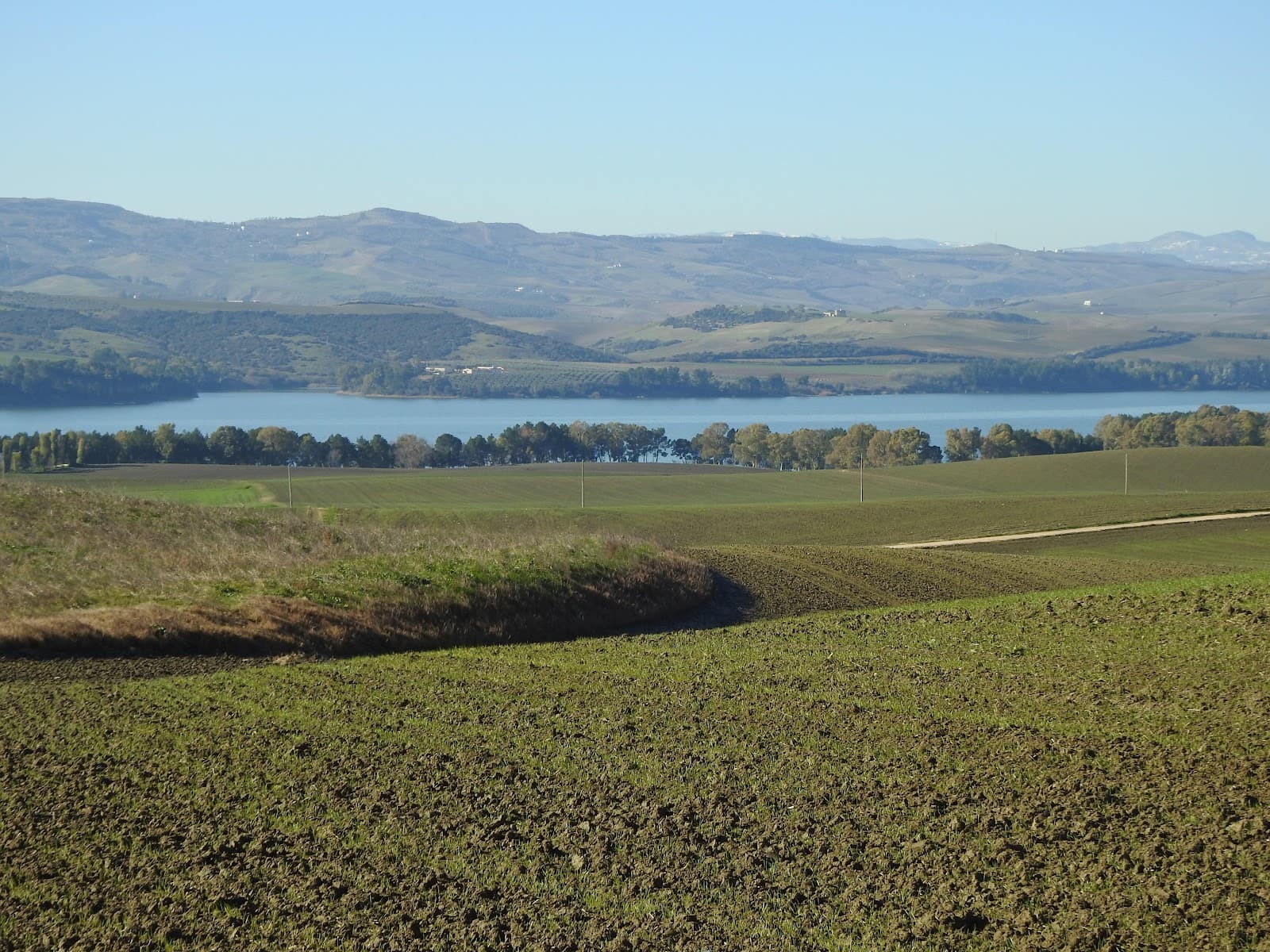 Lake San Giuliano (WWF Oasis) - Image 1