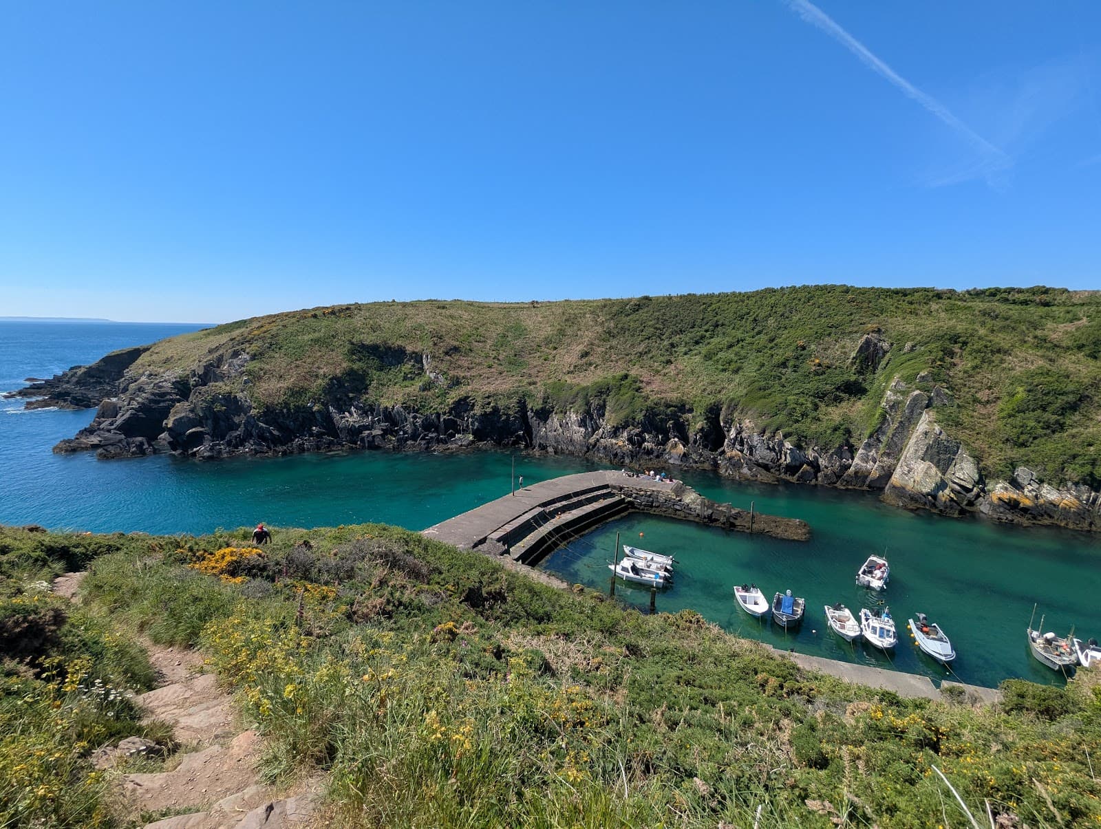 Treginnis Peninsula and Porthlysgi Bay - Image 1