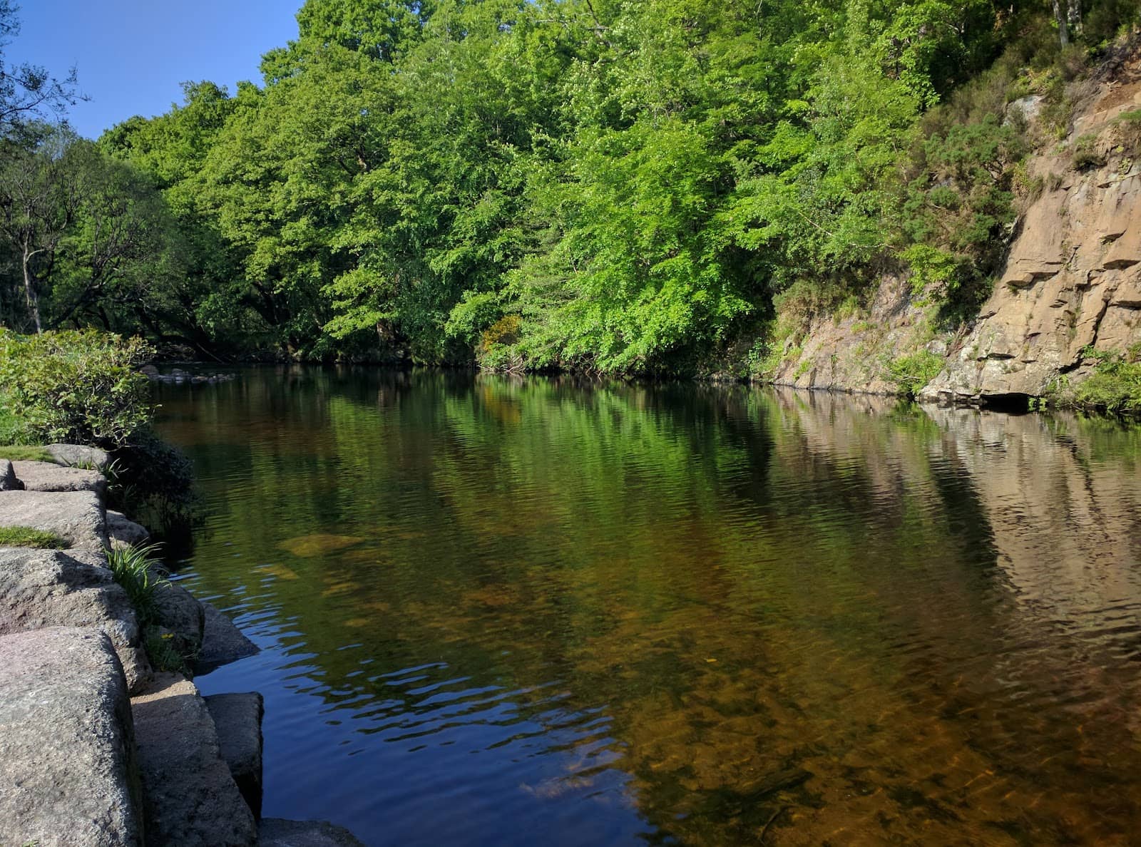 Exploring Dartmoor's Natural Beauty