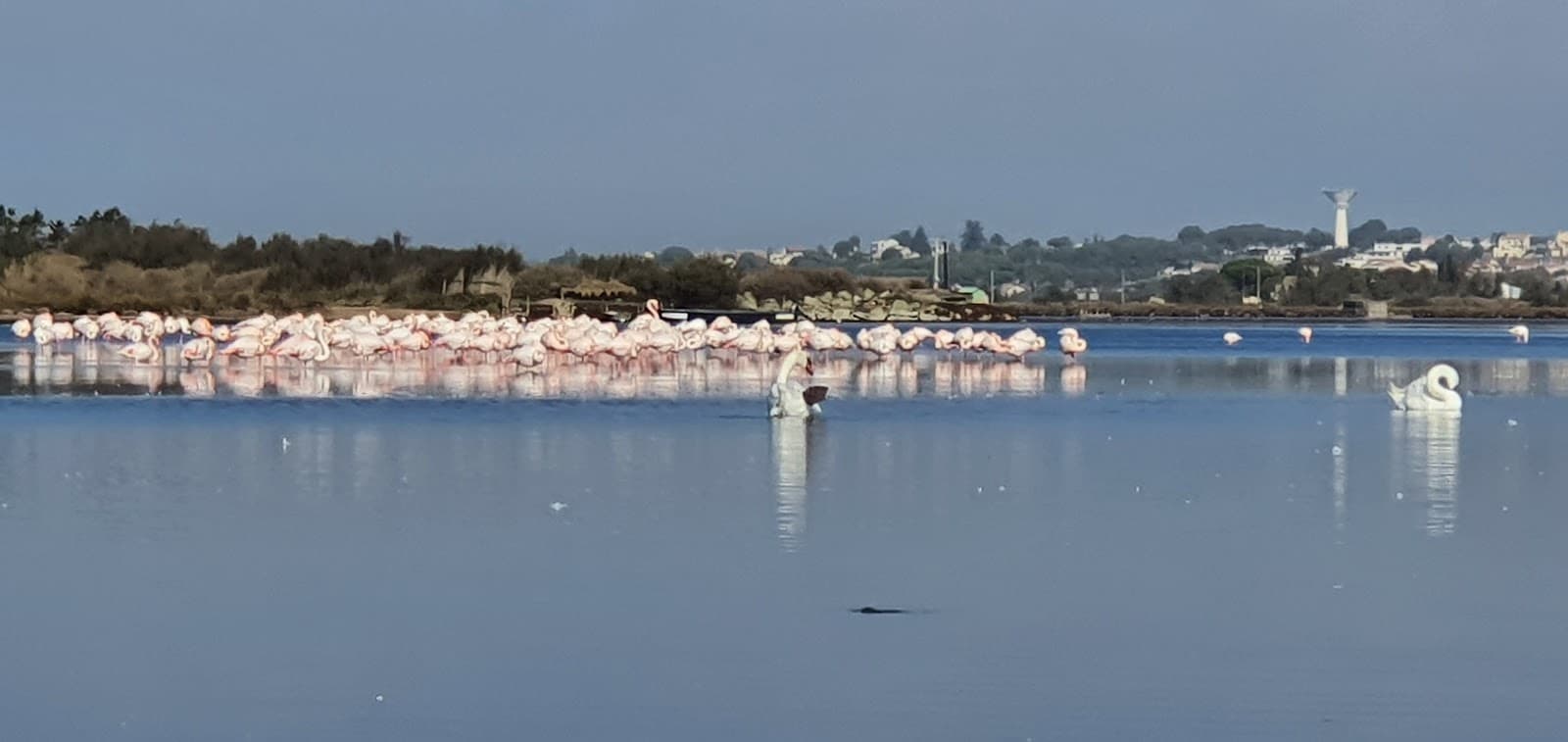 Sérignan-Plage - Image 1