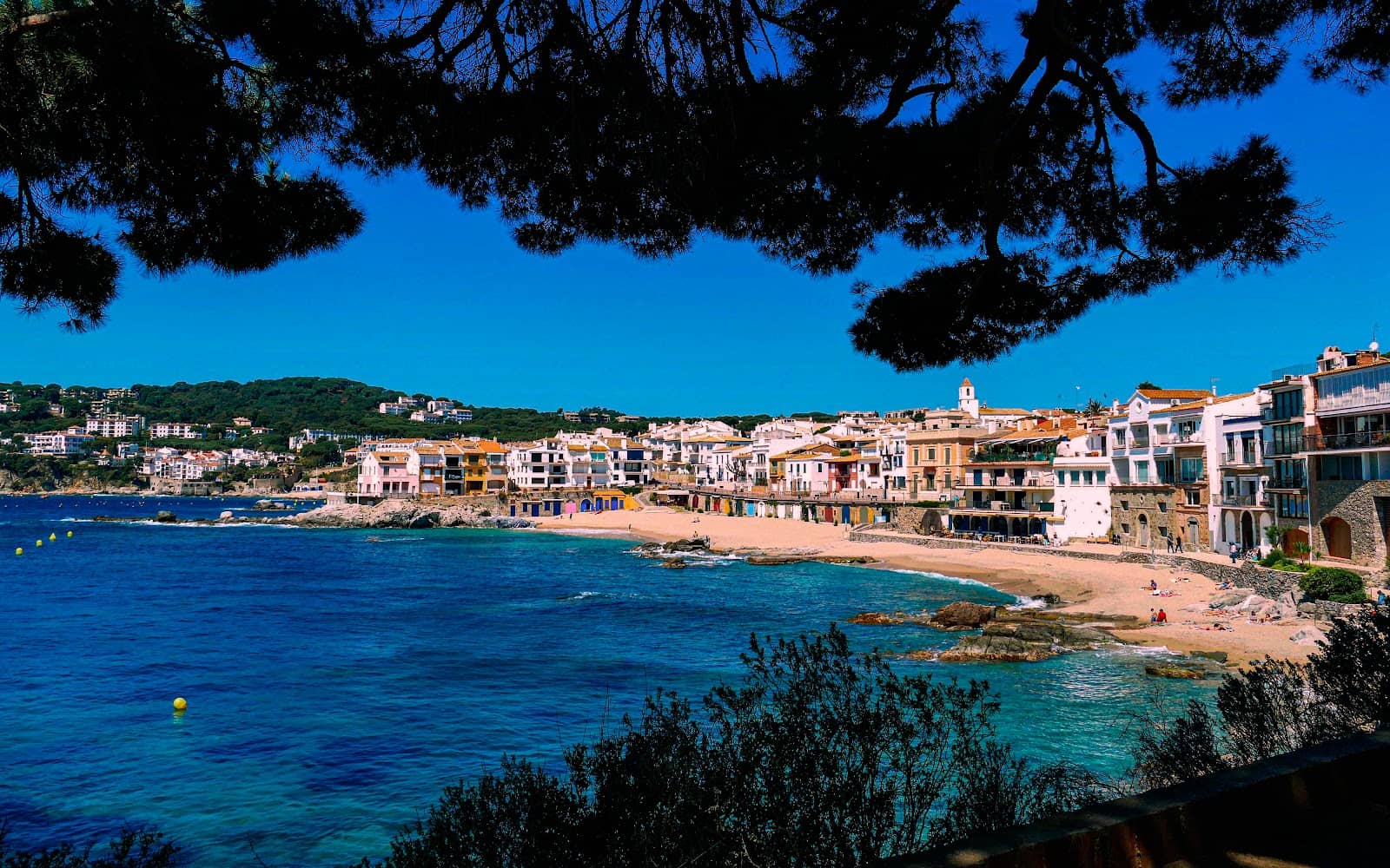 Port of Llafranc