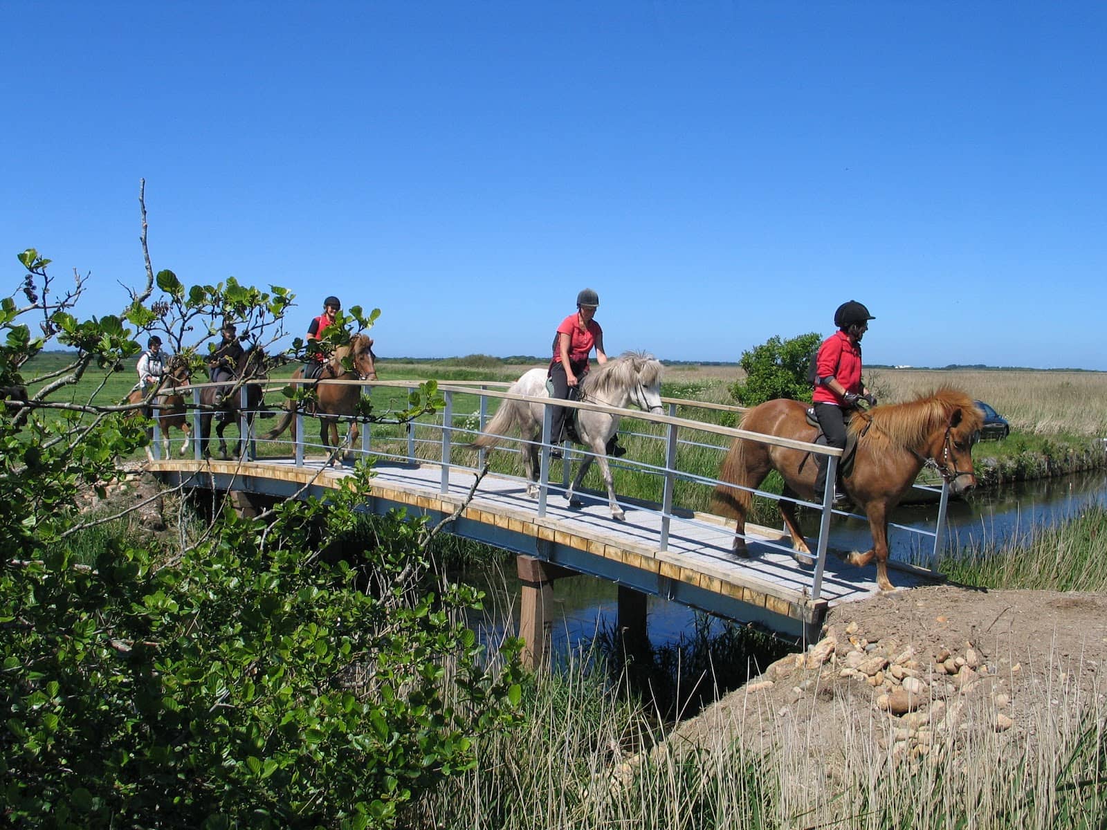 Impressive Natural Landscapes