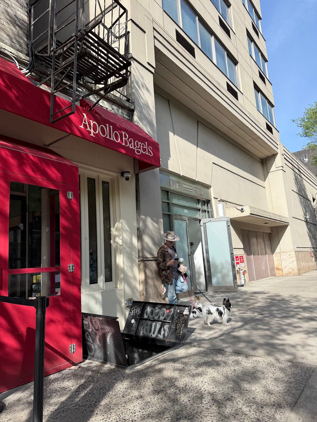 Apollo Bagels - Image 1