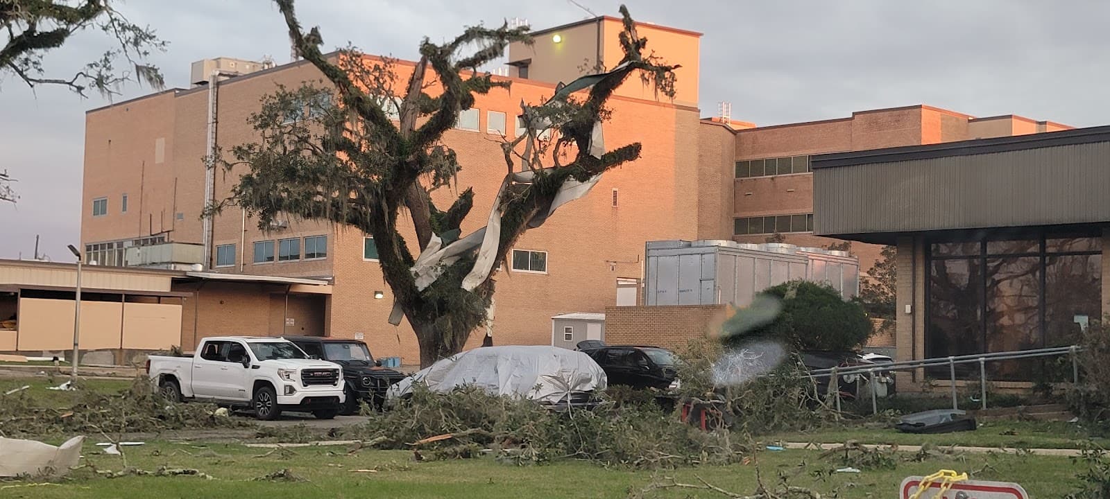 Bayou Teche (New Iberia) - Image 1