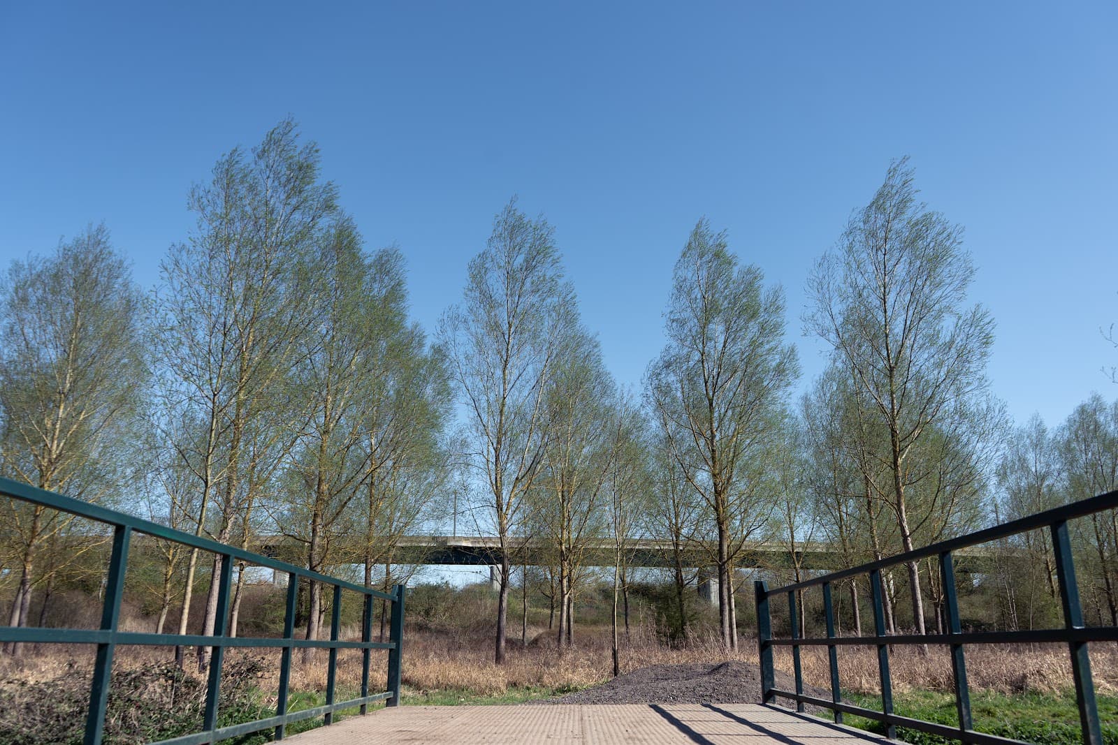 Burymead Springs Local Nature Reserve - Image 1