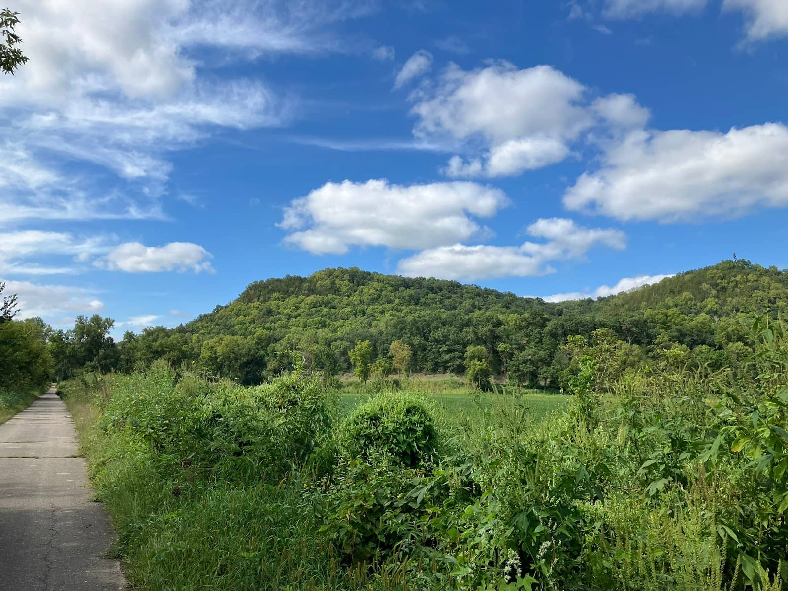 Fall Foliage Spectacle