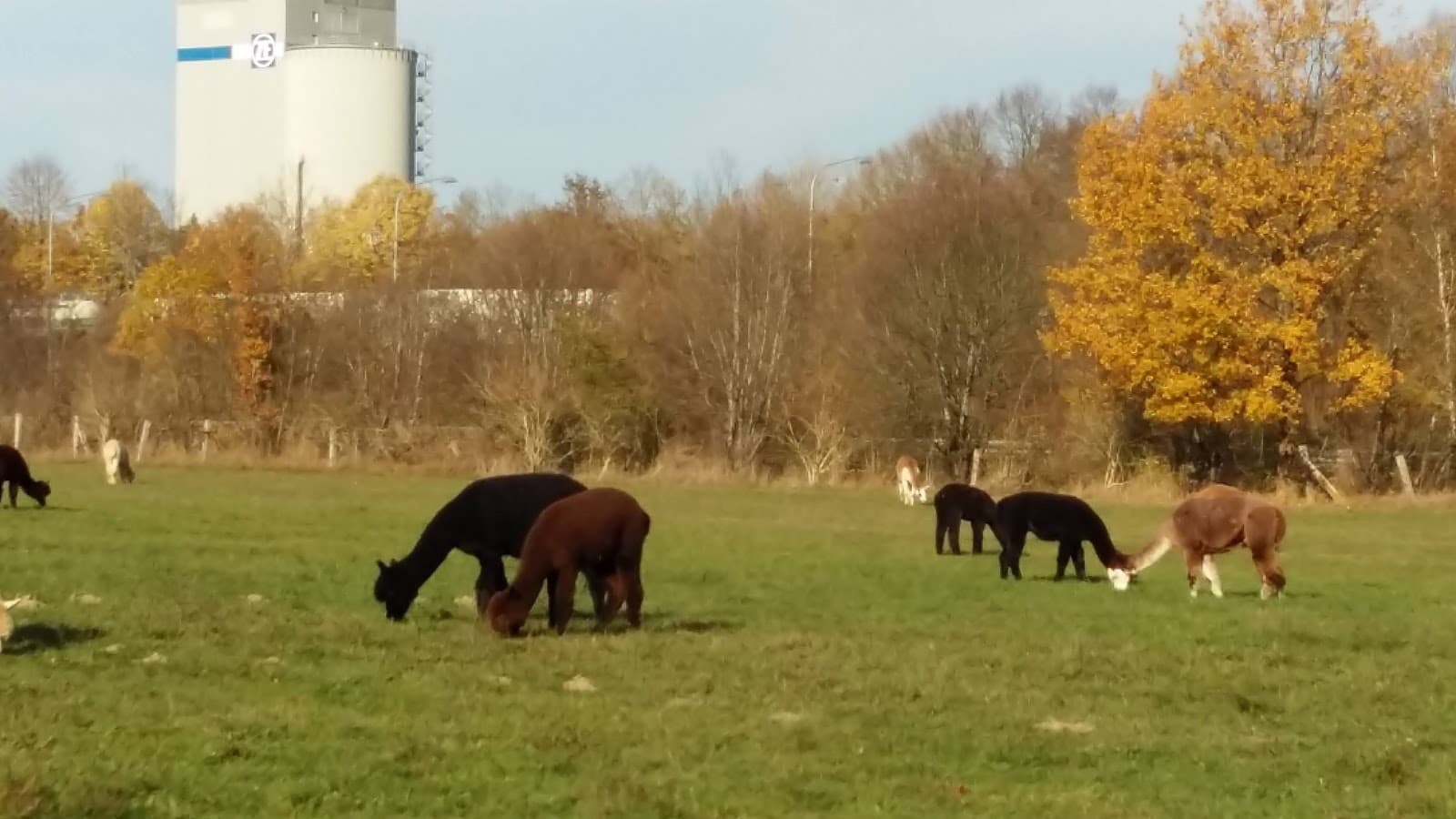 St. Arnual - Image 1