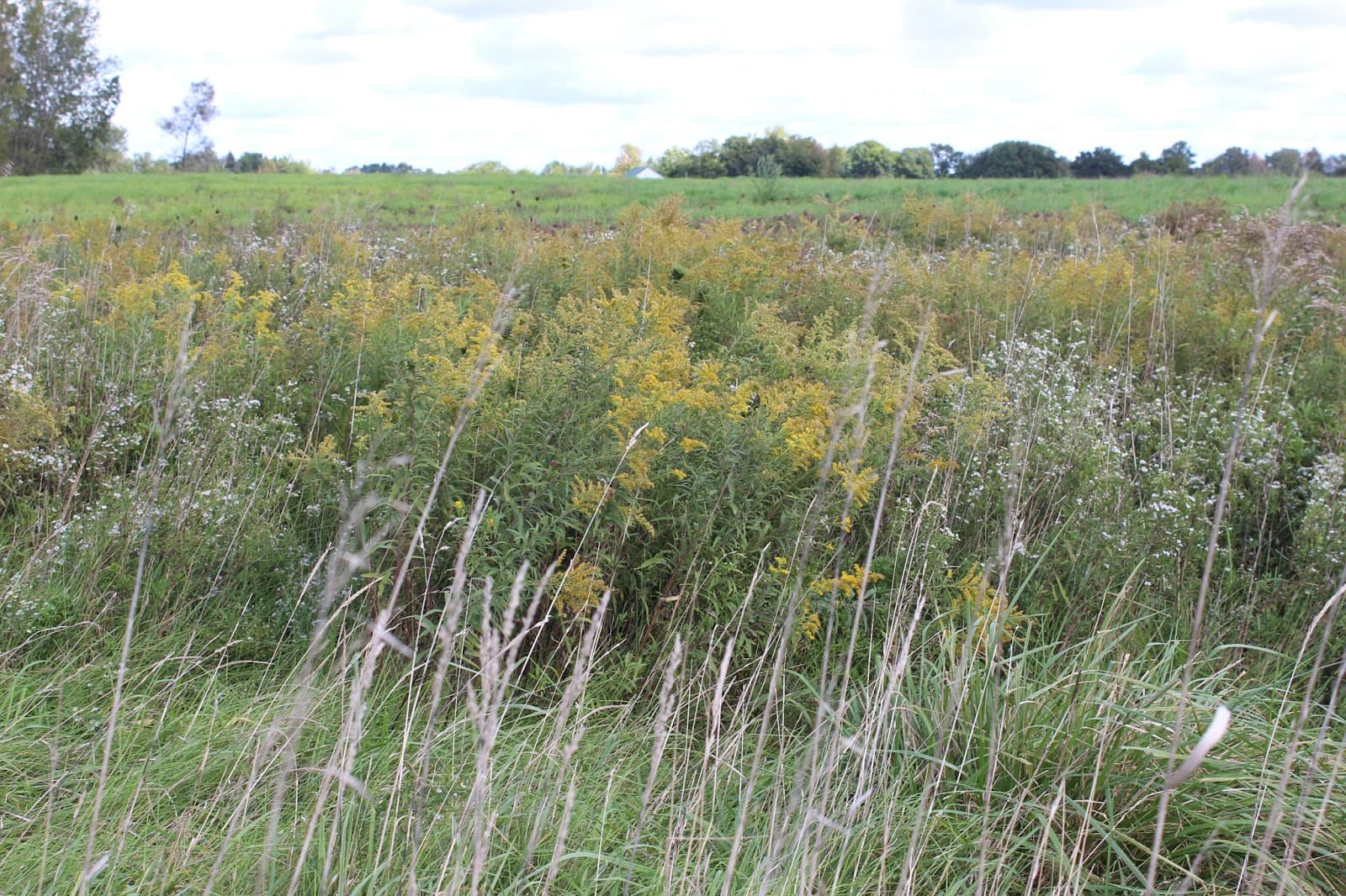 Grand Ravines Park - Image 1