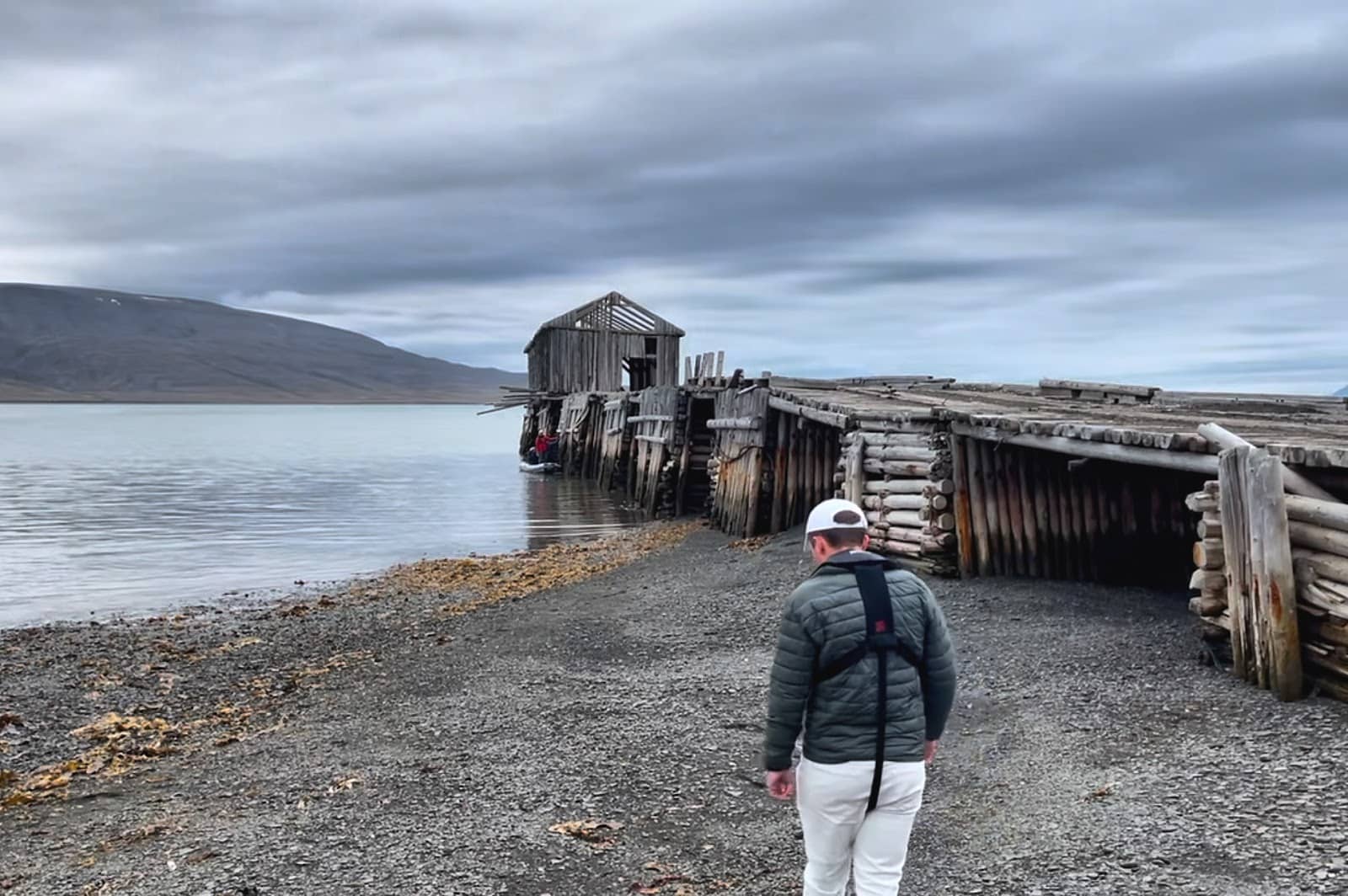 Arctic Wildlife Spotting