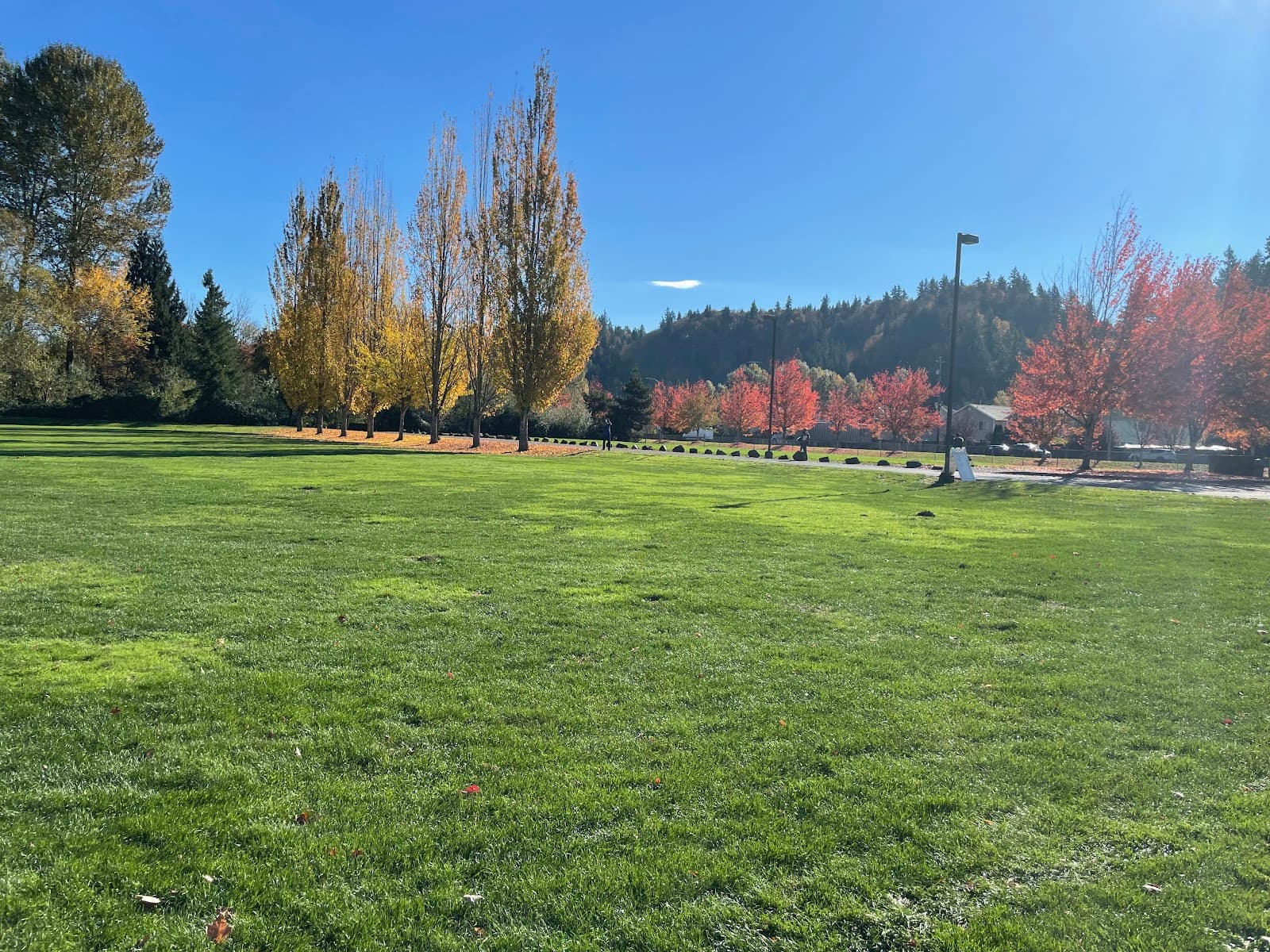 Ron Regis Park - Image 1