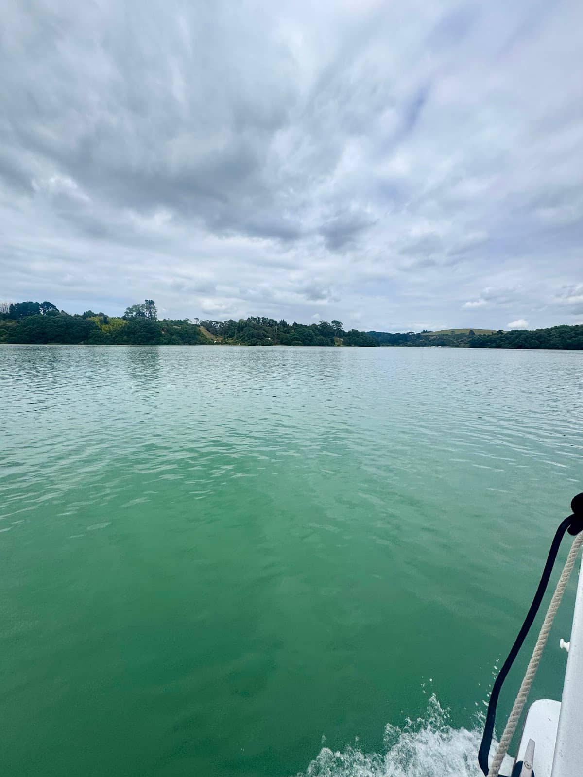 Ohiwa Harbour Restoration