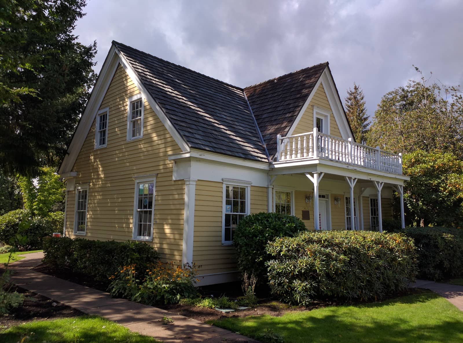 Pitch and Putt Disc Golf