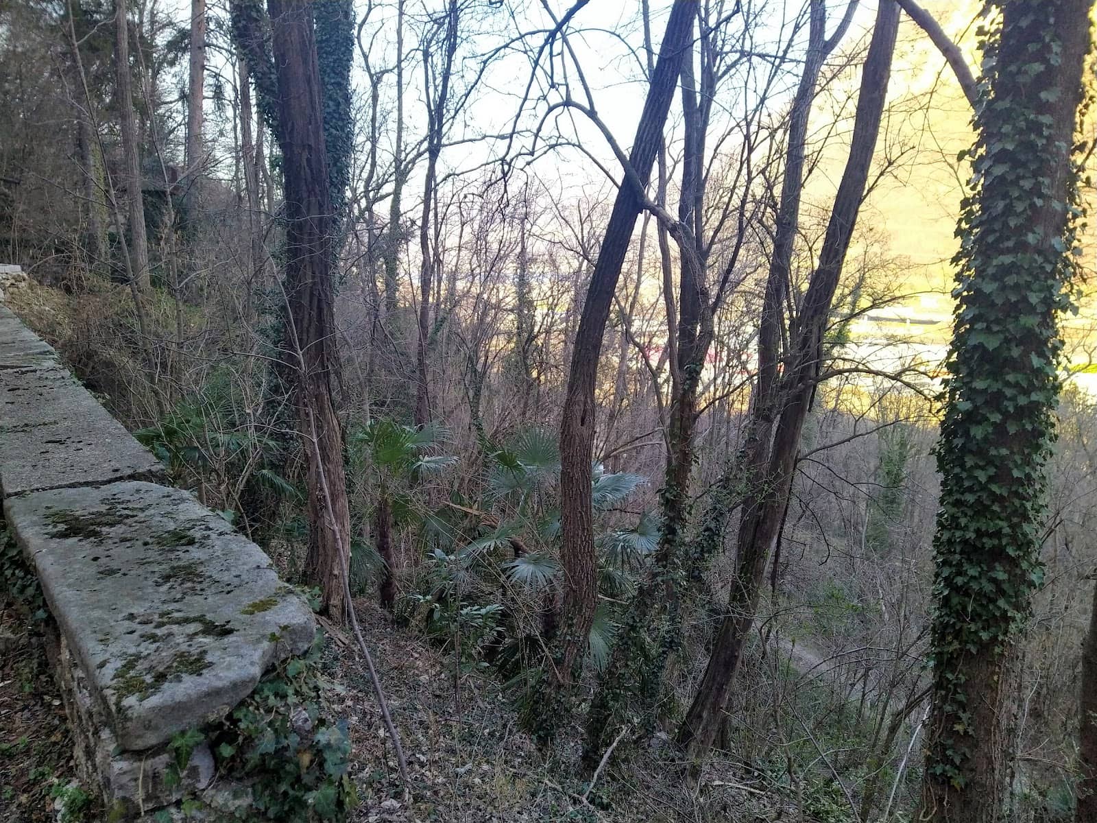 Vertical photo