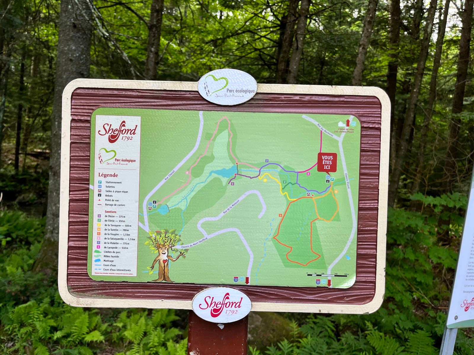 Dog-Friendly Adventures