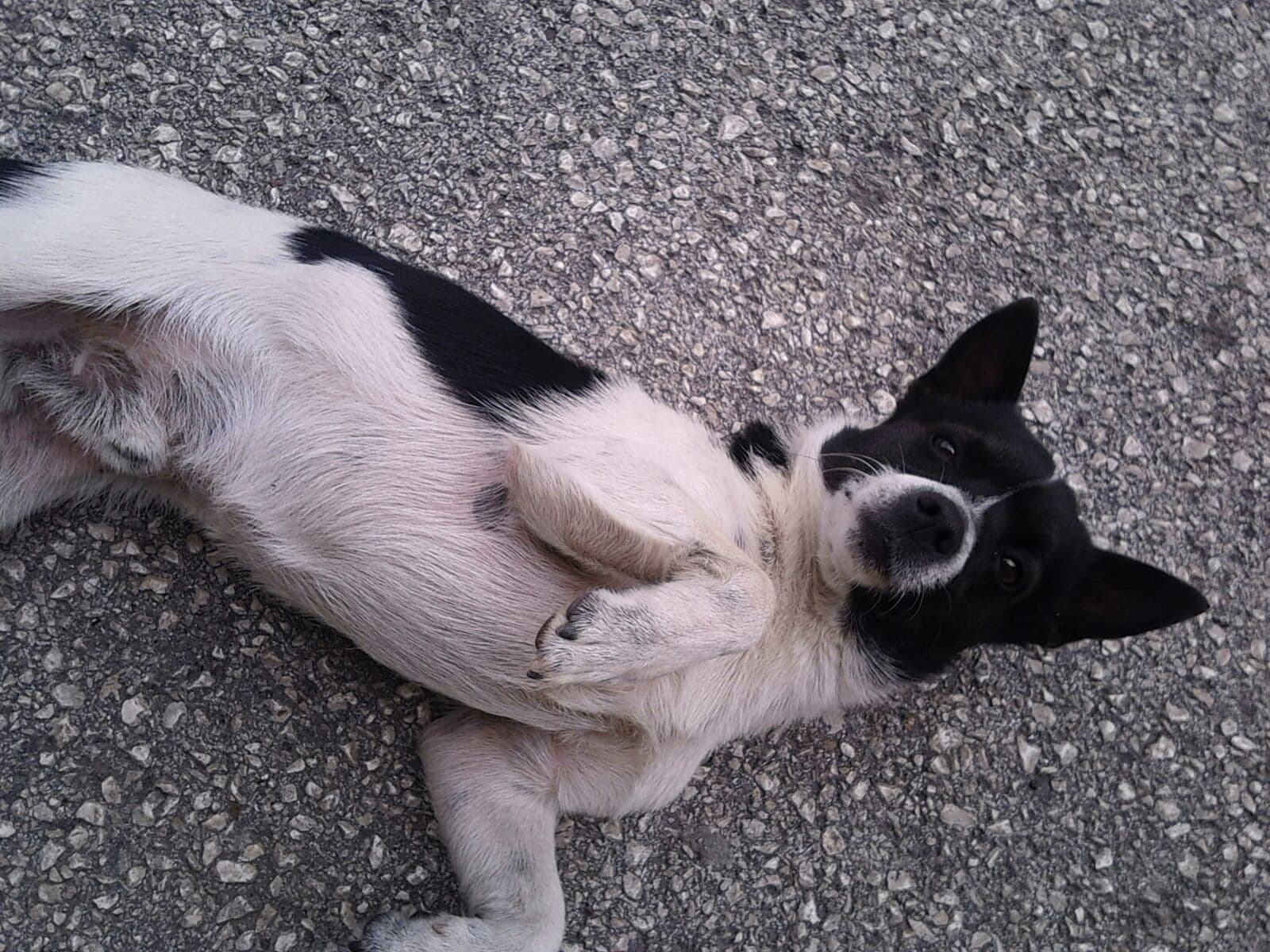 Palazzo San Francesco - Image 1