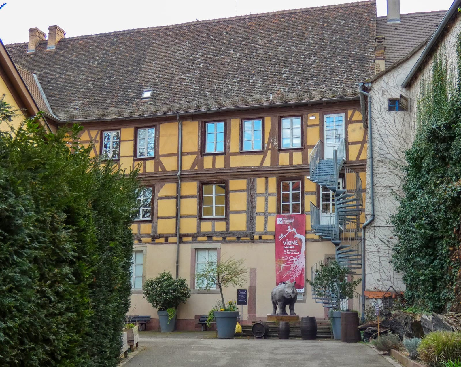 Natural History & Ethnography Museum - Image 1