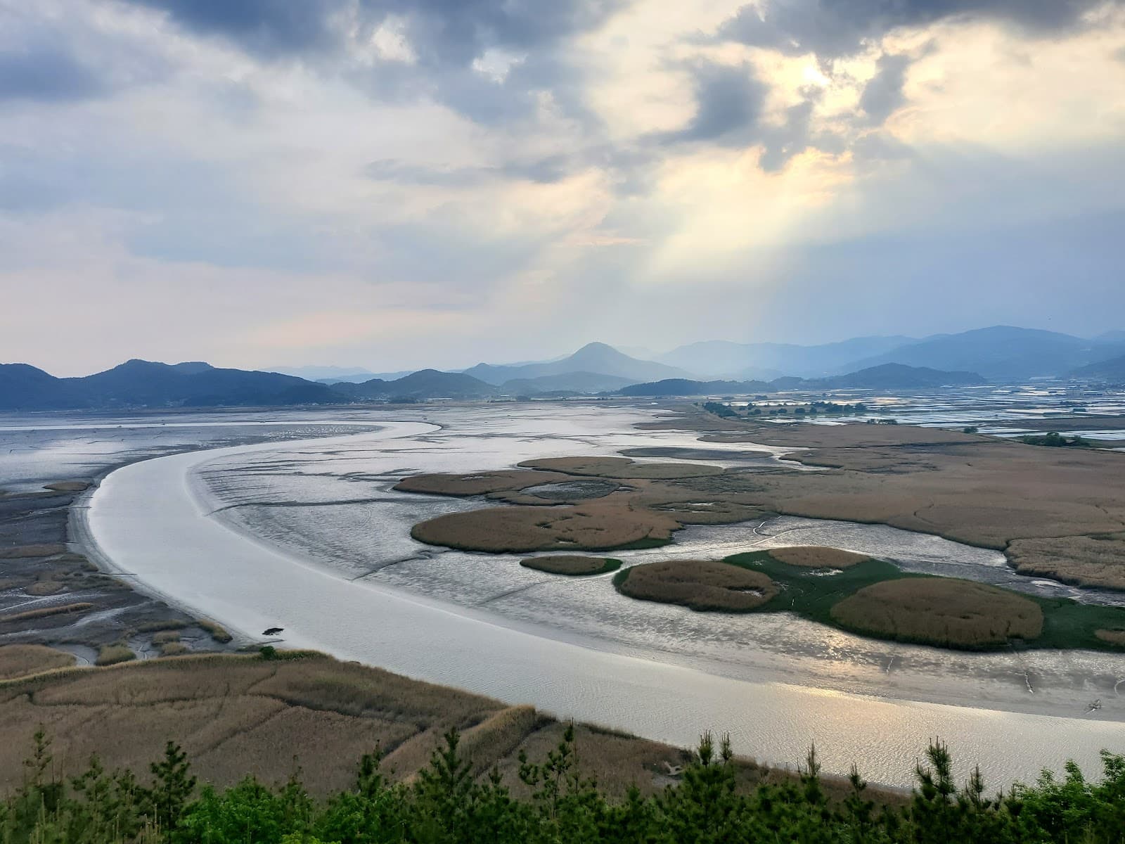 Suncheon Bay Wetland Reserve - Image 1