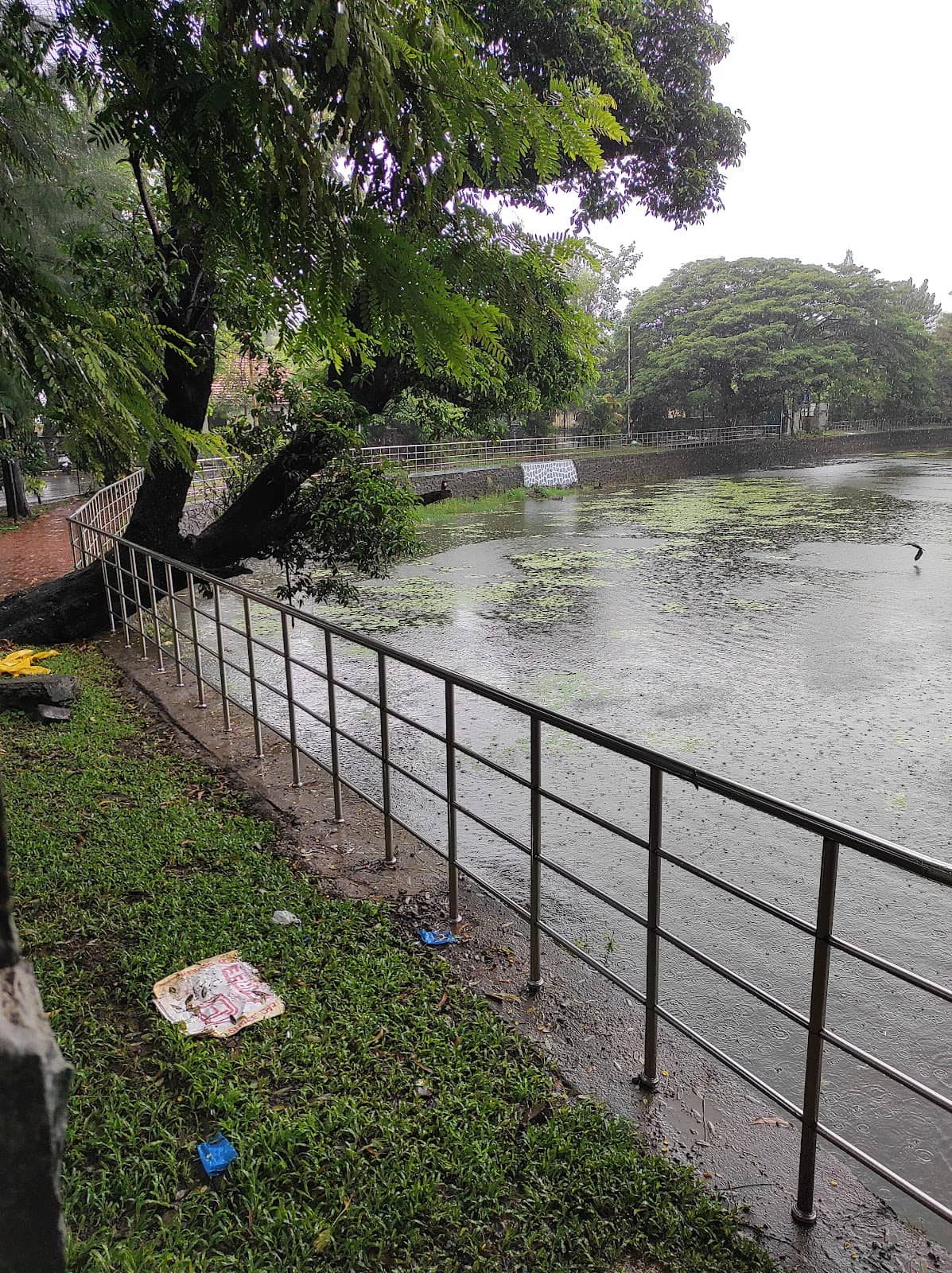 Lush Green Surroundings