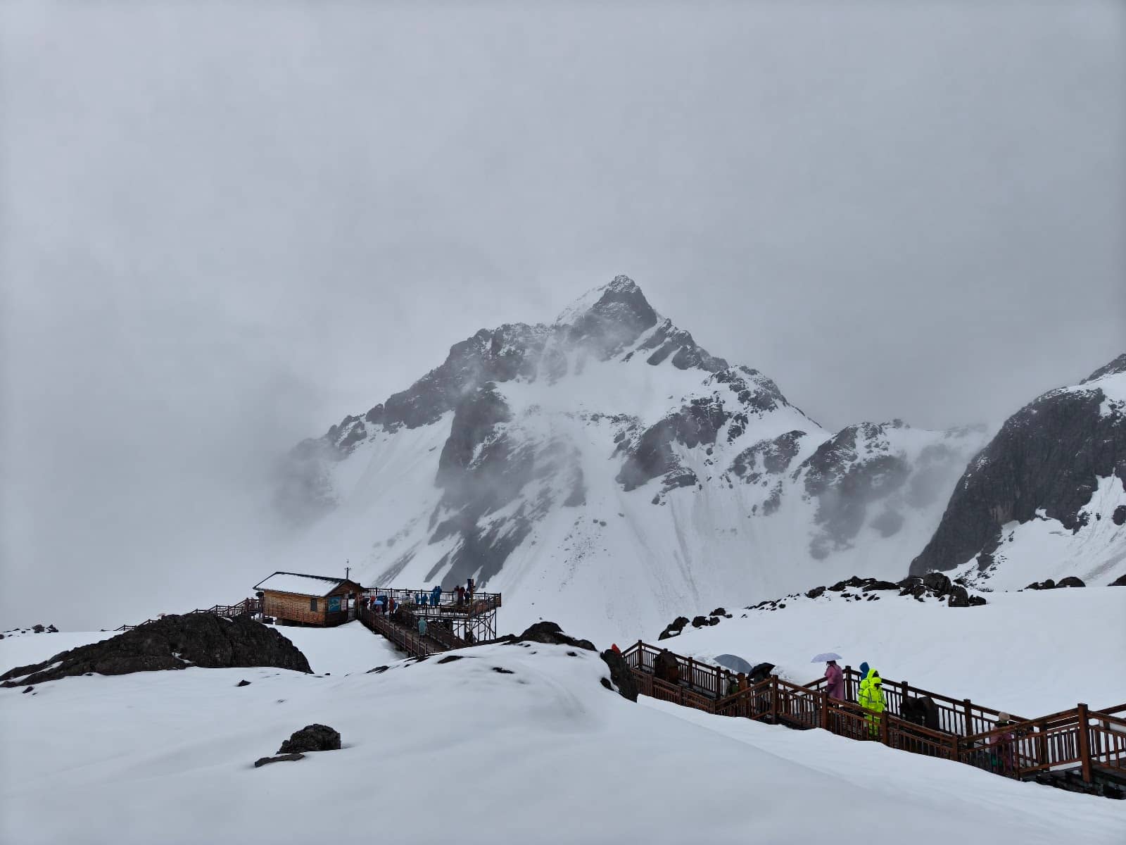 Virgin Forest & Snow-Bin Trees
