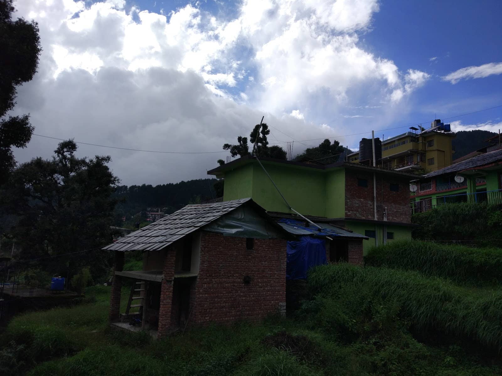 Vertical photo