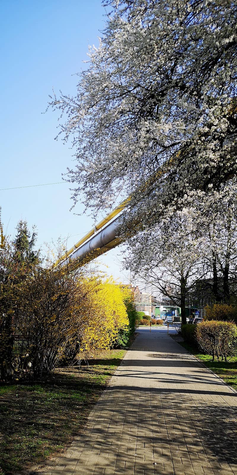 Tram Line 40