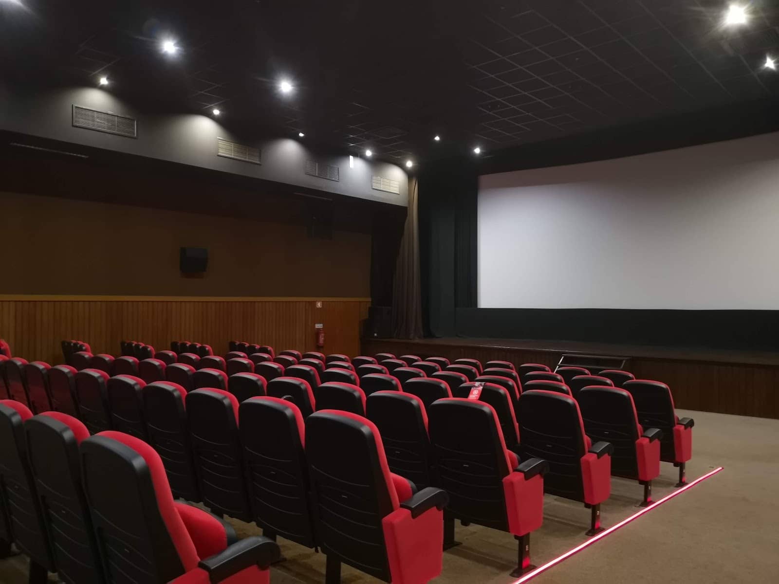 Abstract Expressions