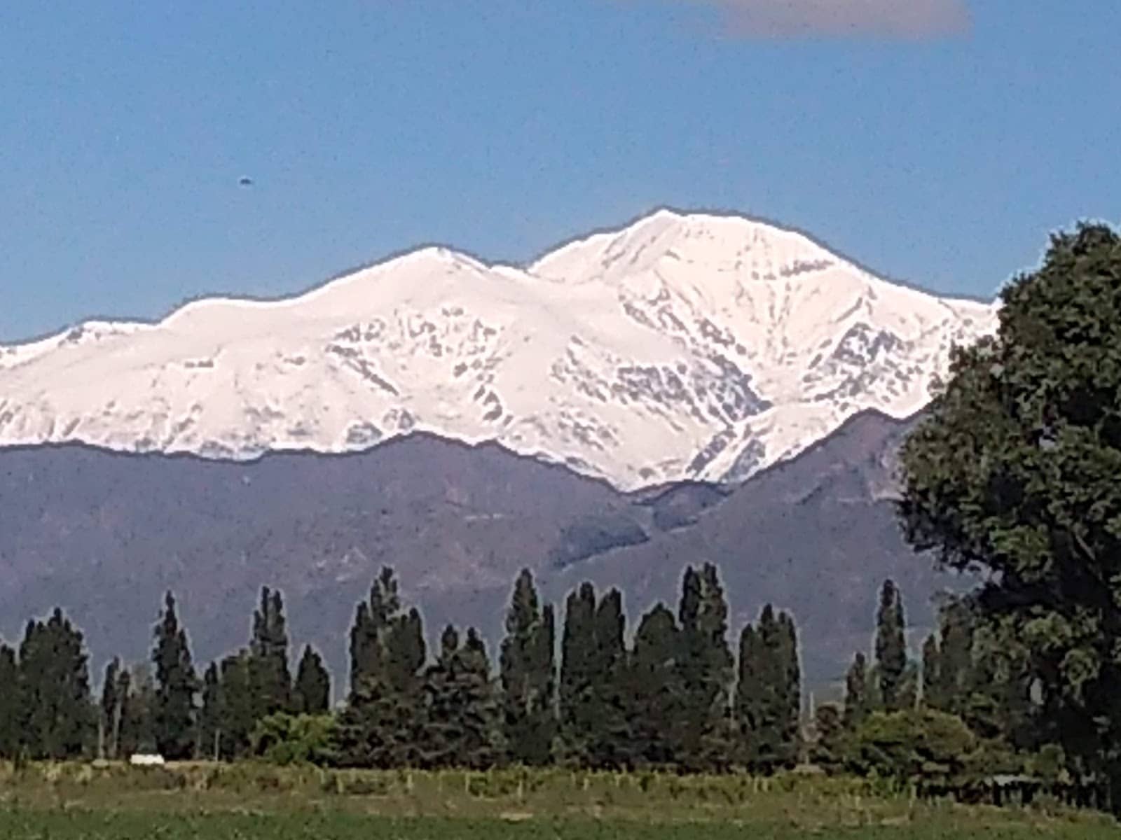 Bondilodge Unique Stays