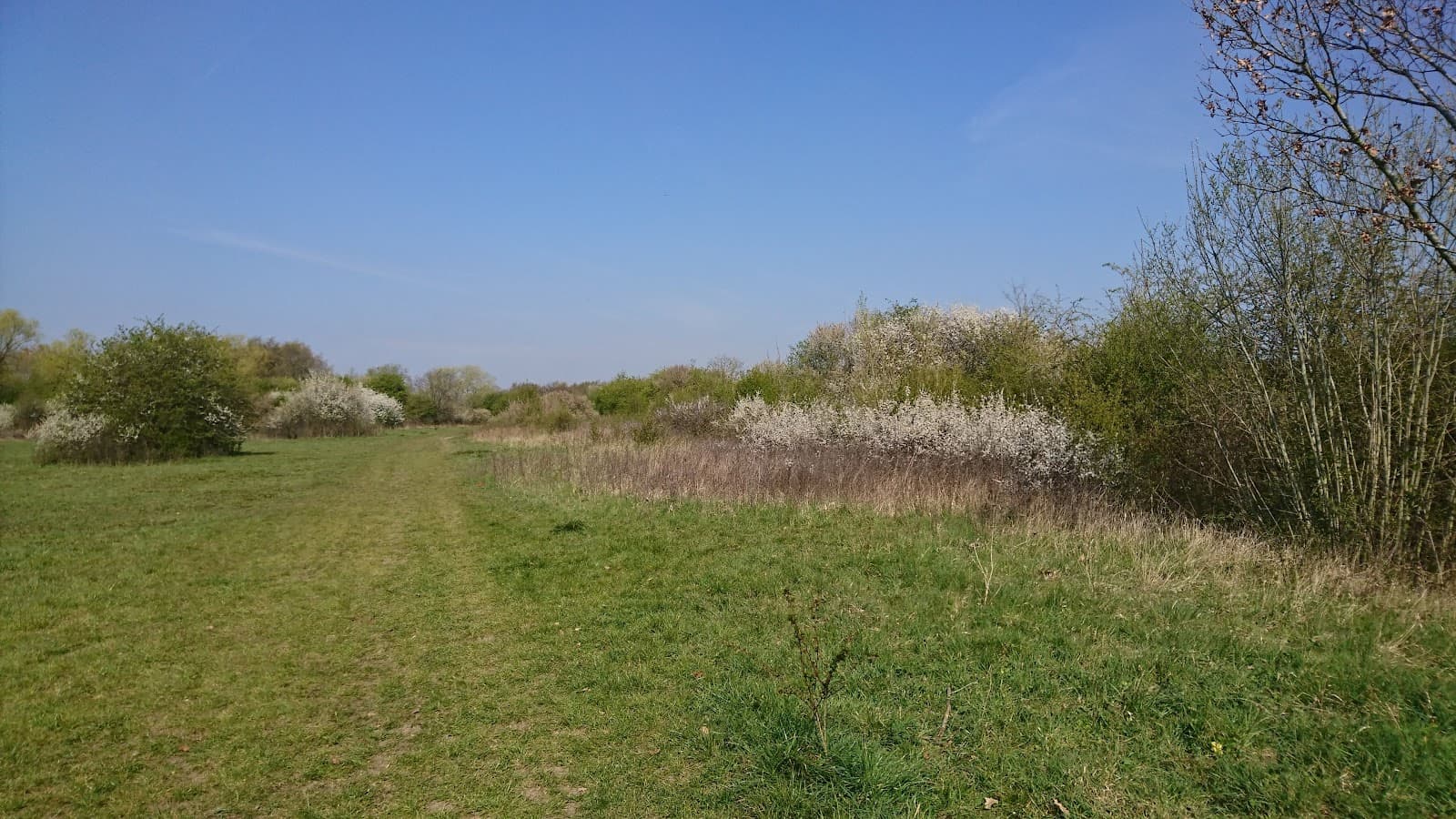 Yeading Brook Meadows - Image 1