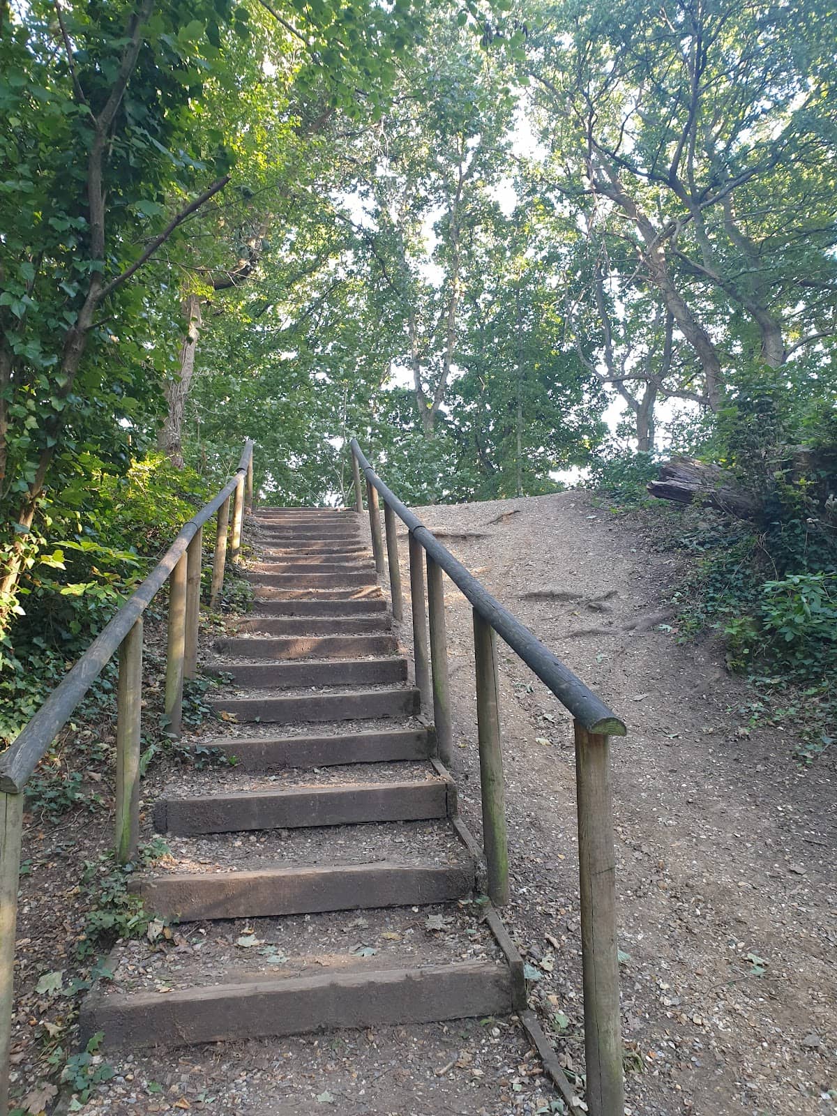 St. Catherine's Hill Sunset