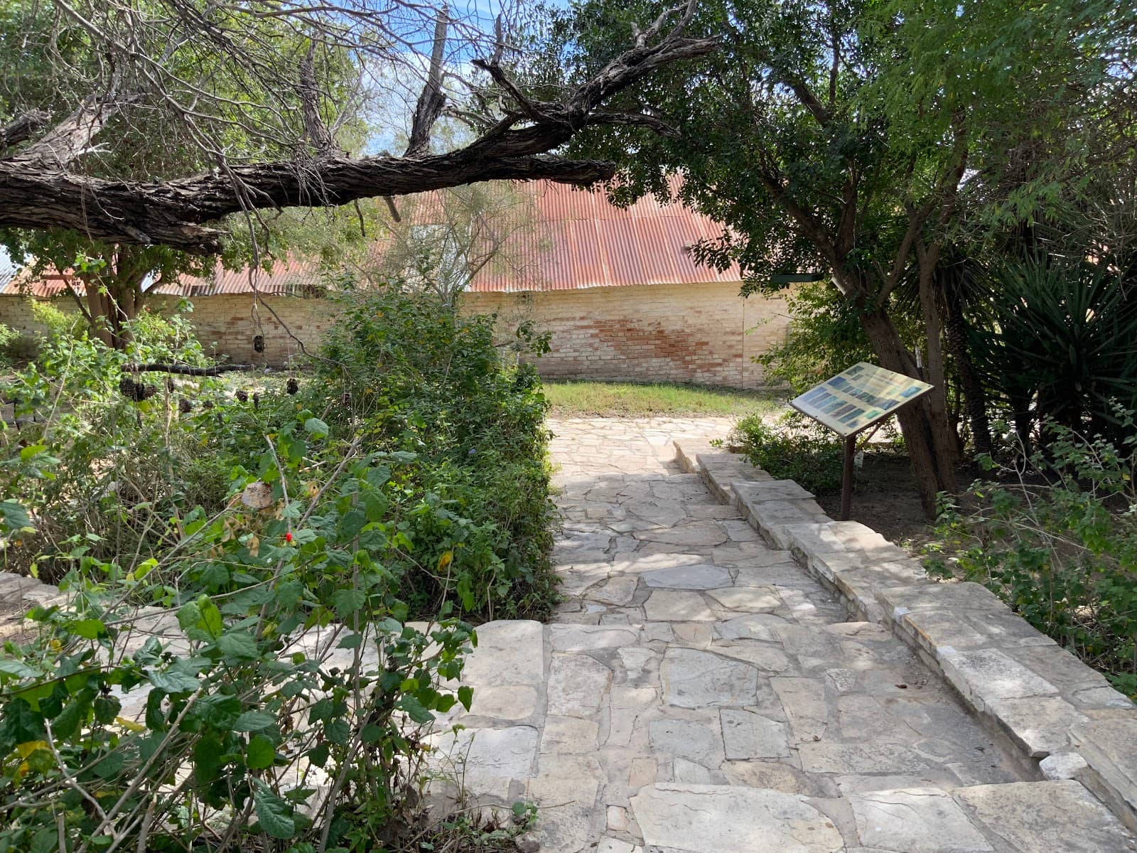 Peaceful Nature Walk