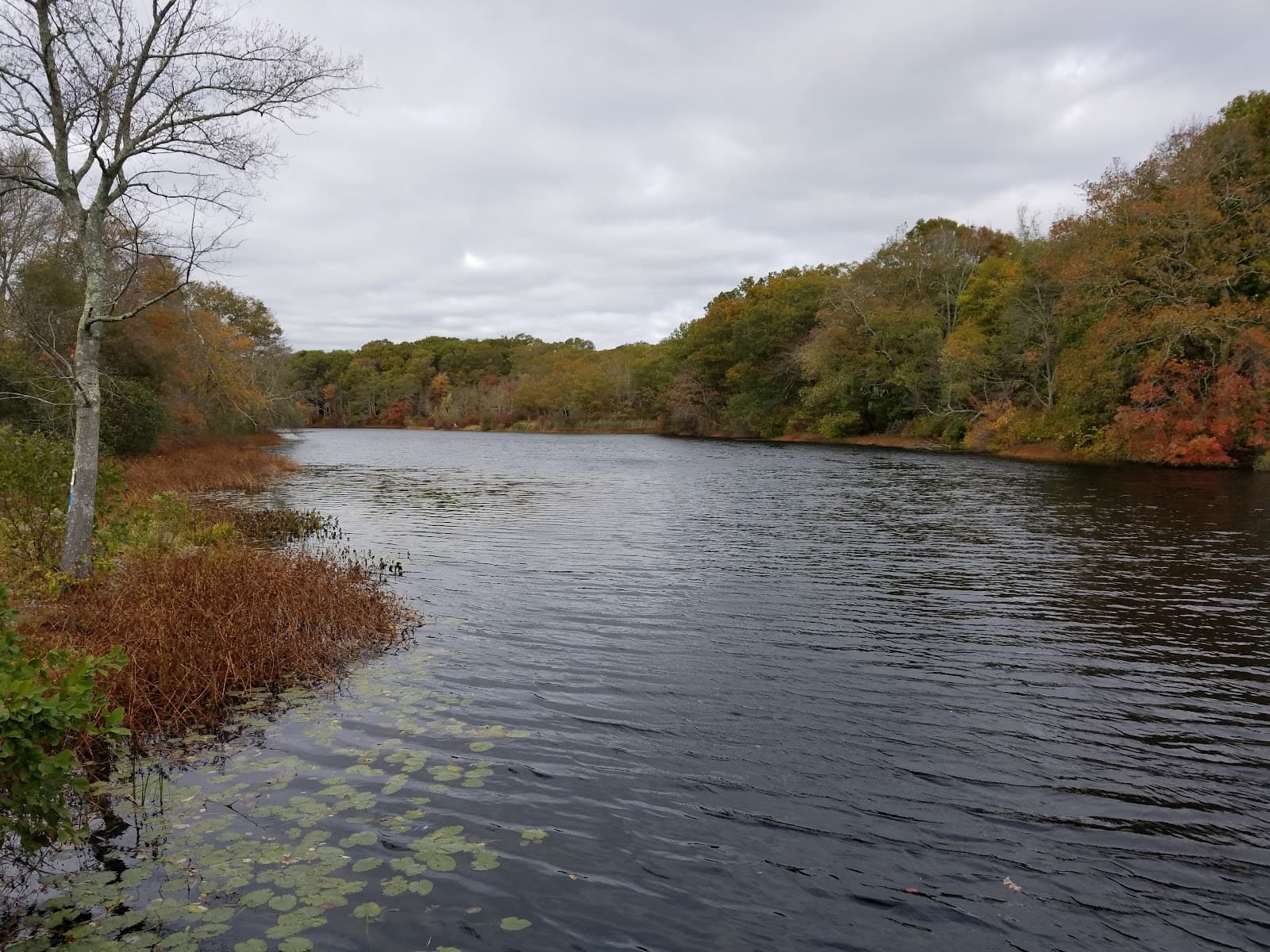 Hamilton Historic District - Image 1