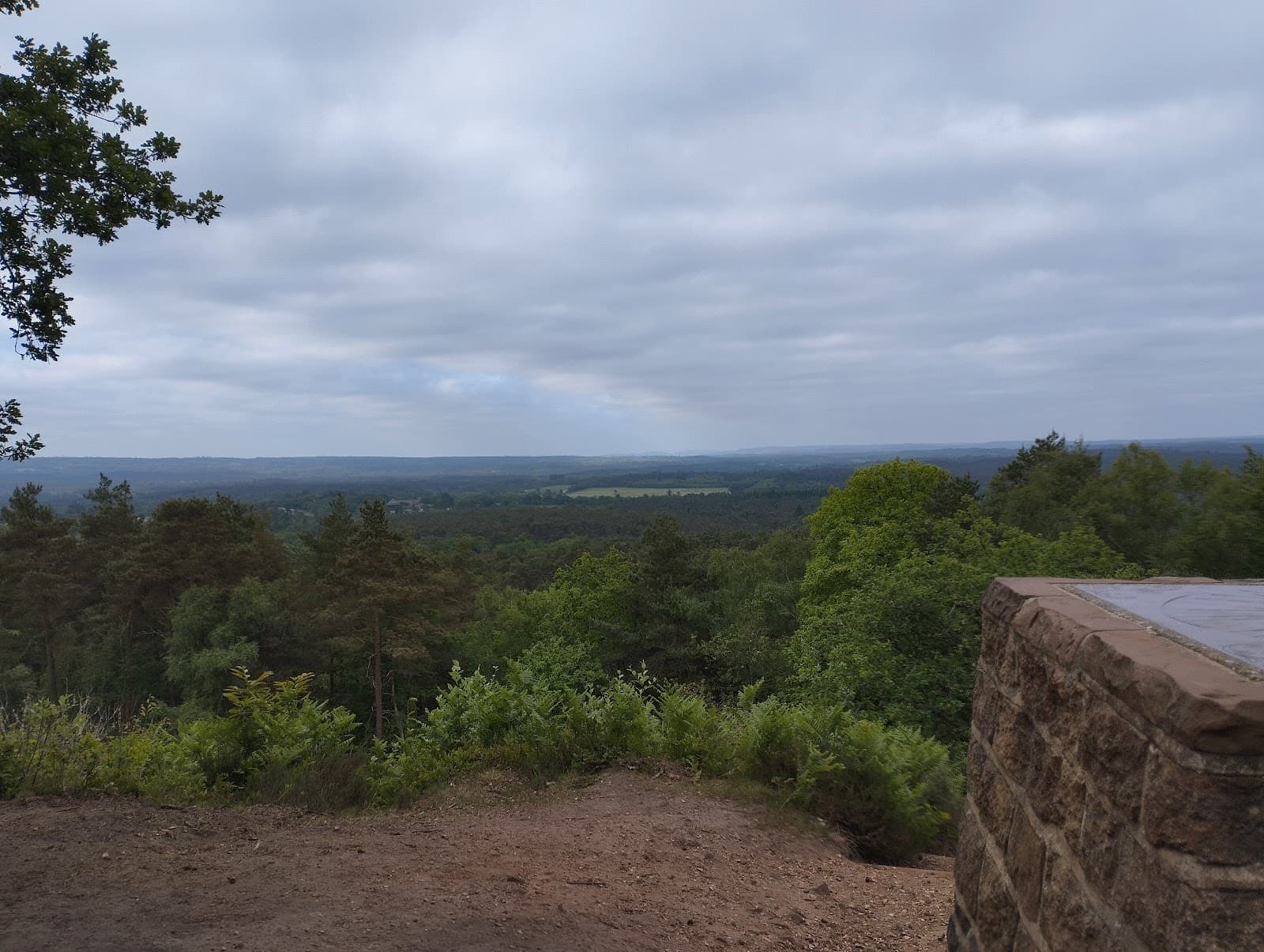 Crooksbury Hill - Image 1