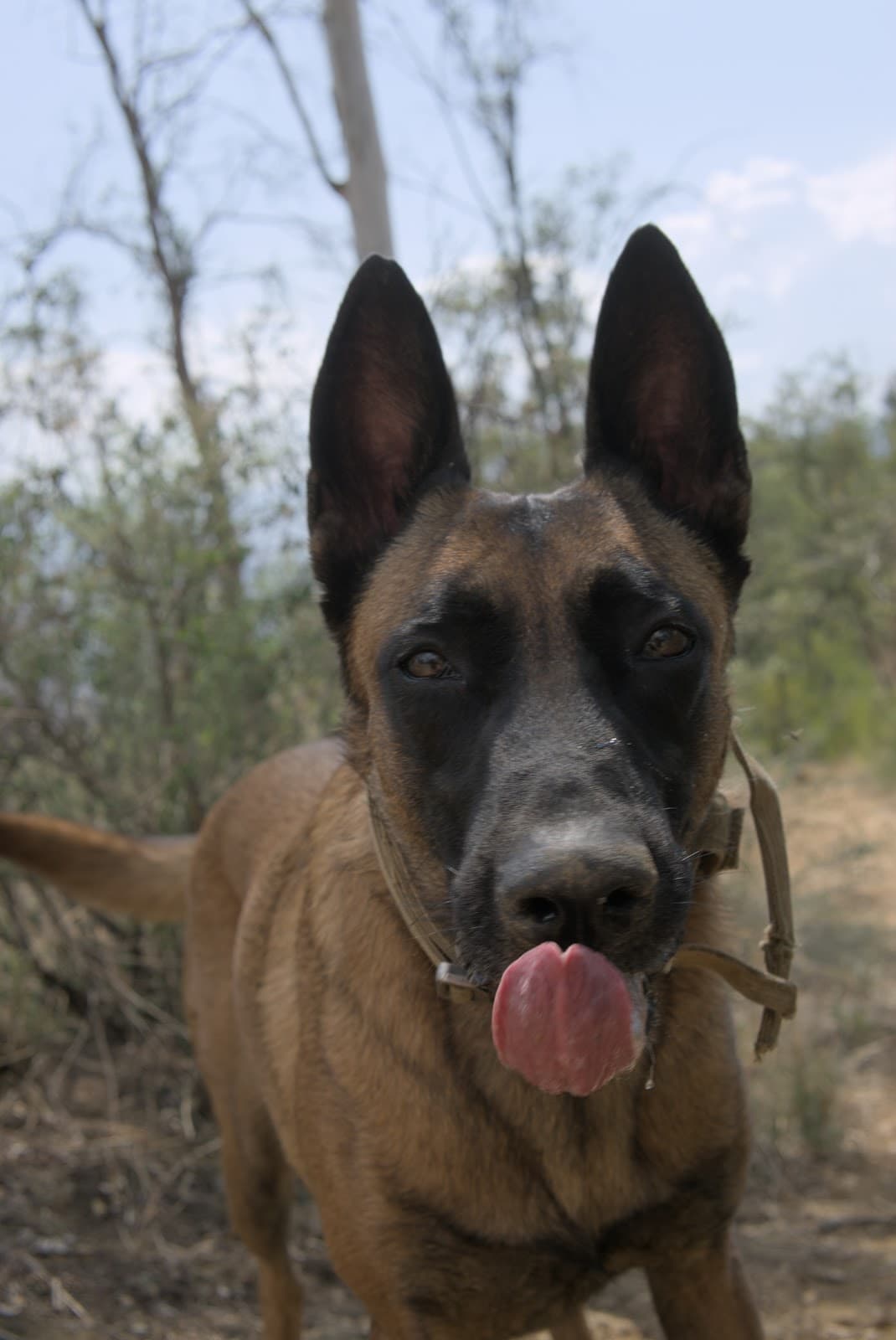 Cerro del Fortín Oaxaca - Image 1