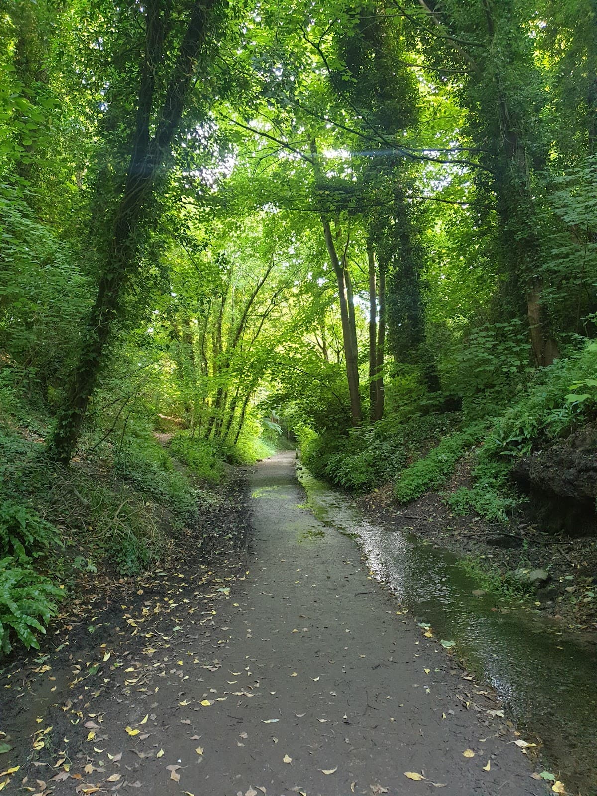 Old Town Railway Path - Image 1