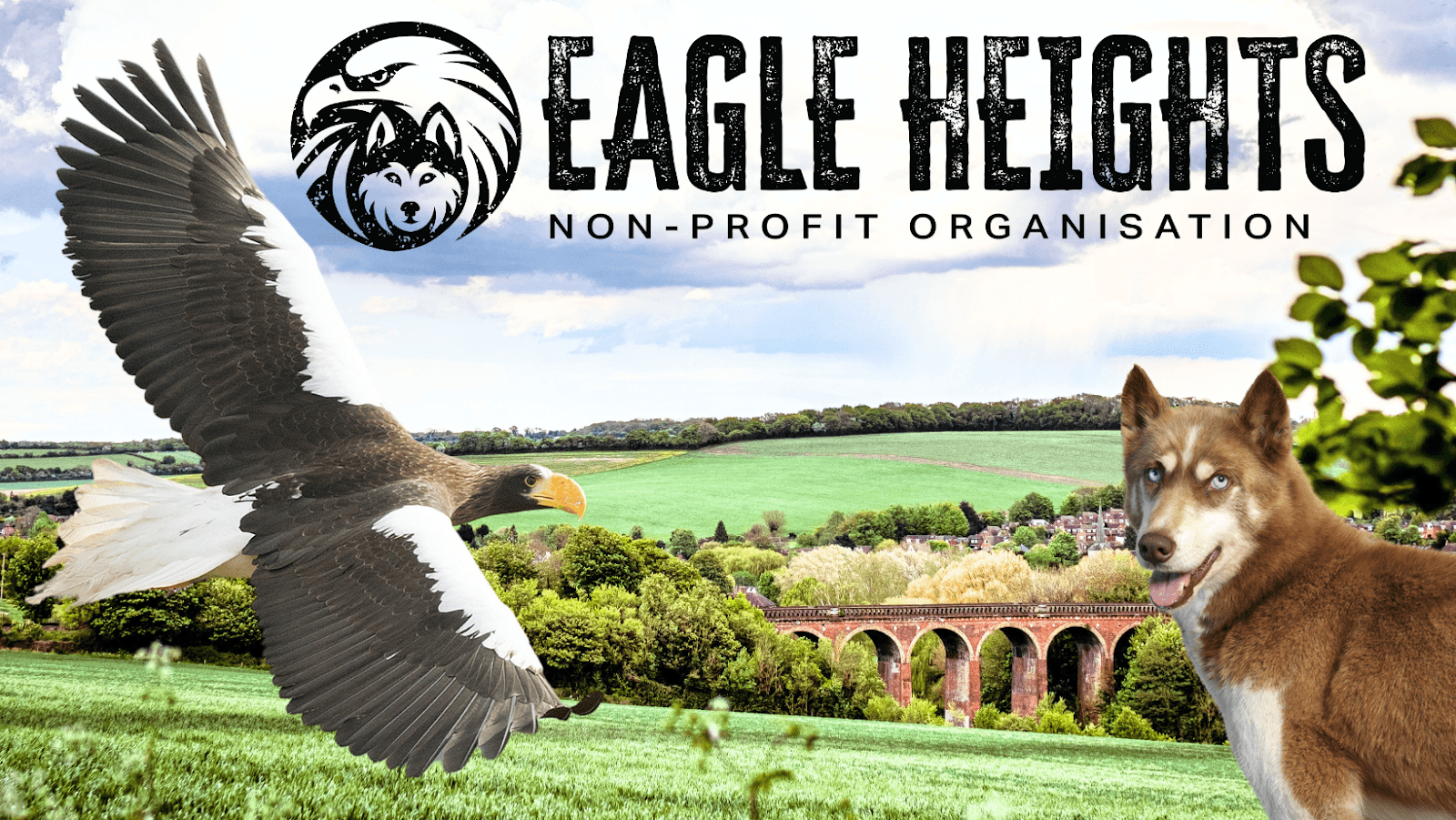 Eagle Heights Wildlife Foundation - Image 1