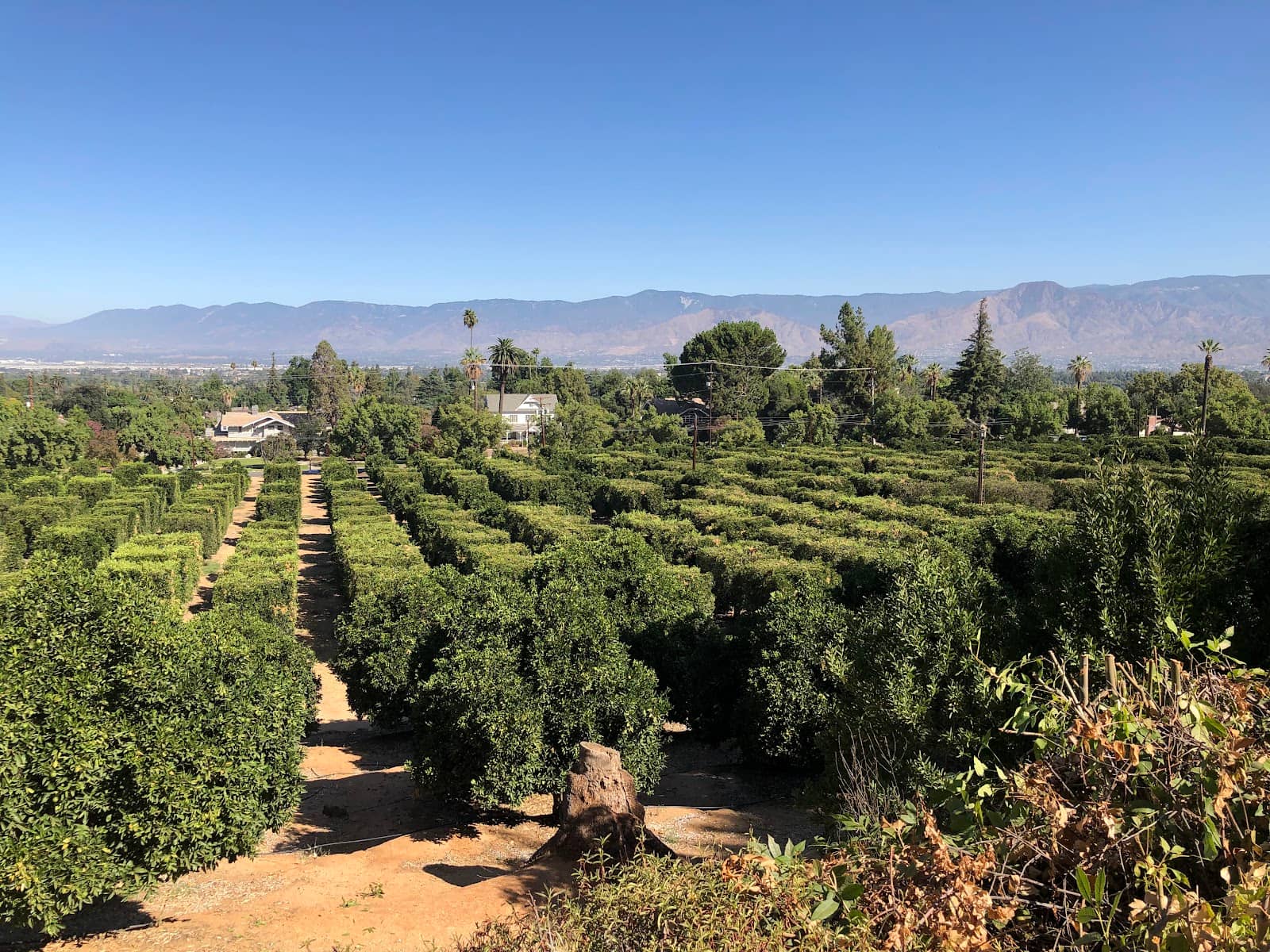Bicycle Wheels Sculpture