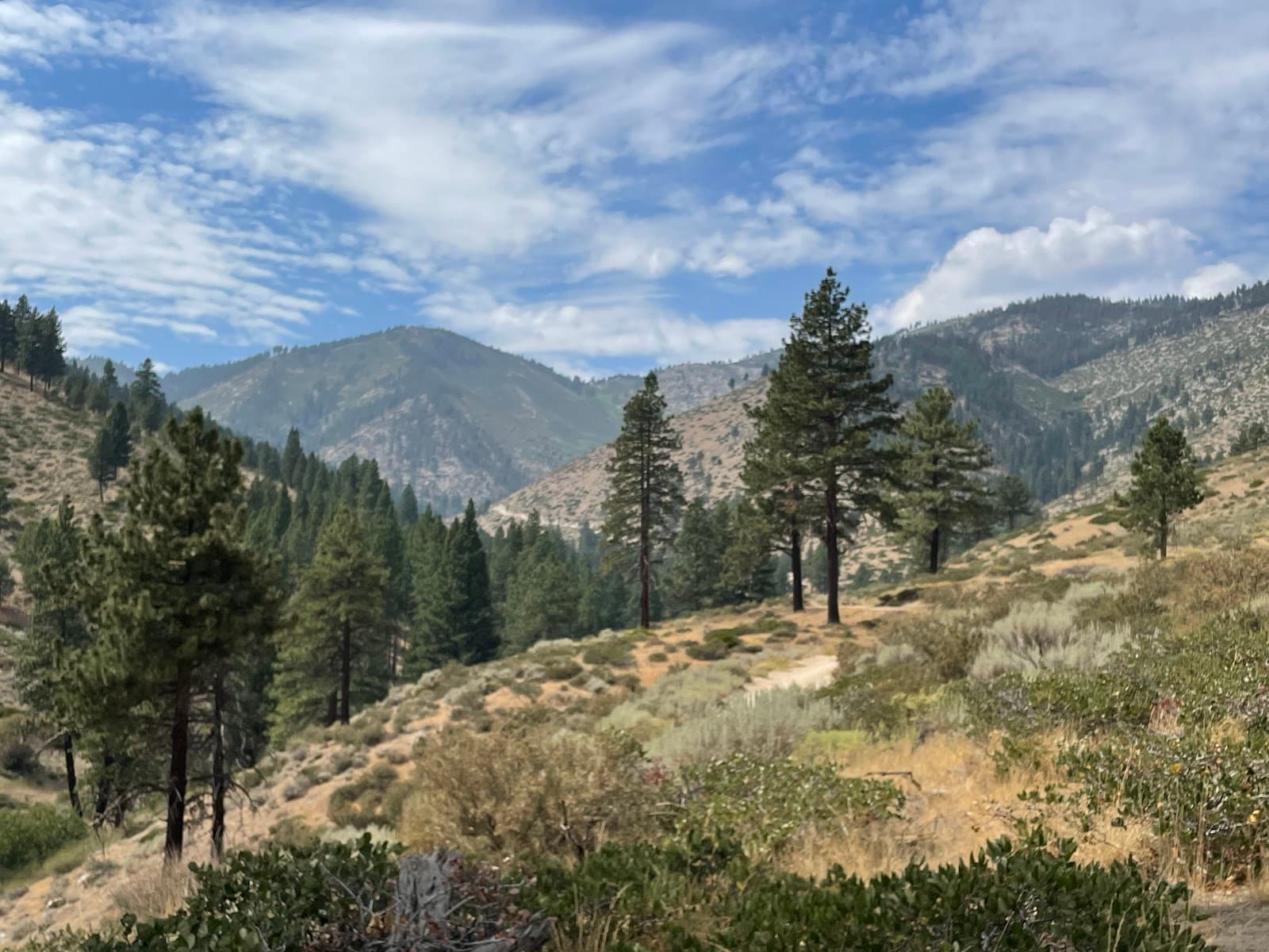 Ash to Kings Trail - Image 1