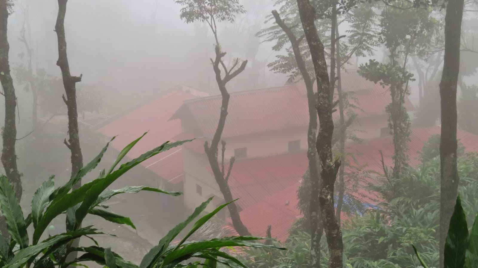 Cardamom and Pepper Farms Peermedu - Image 1