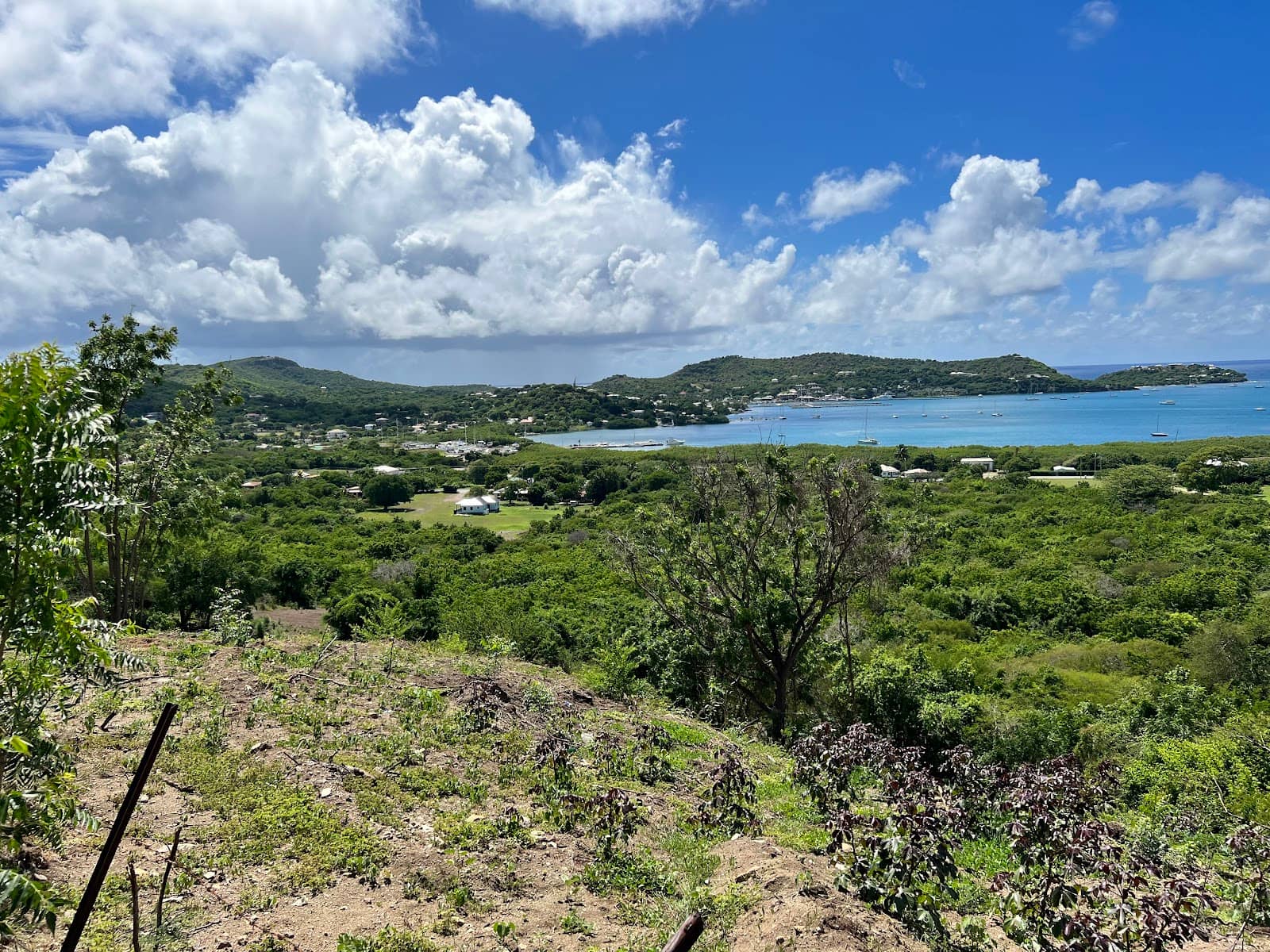 Scenic Ascent Hike