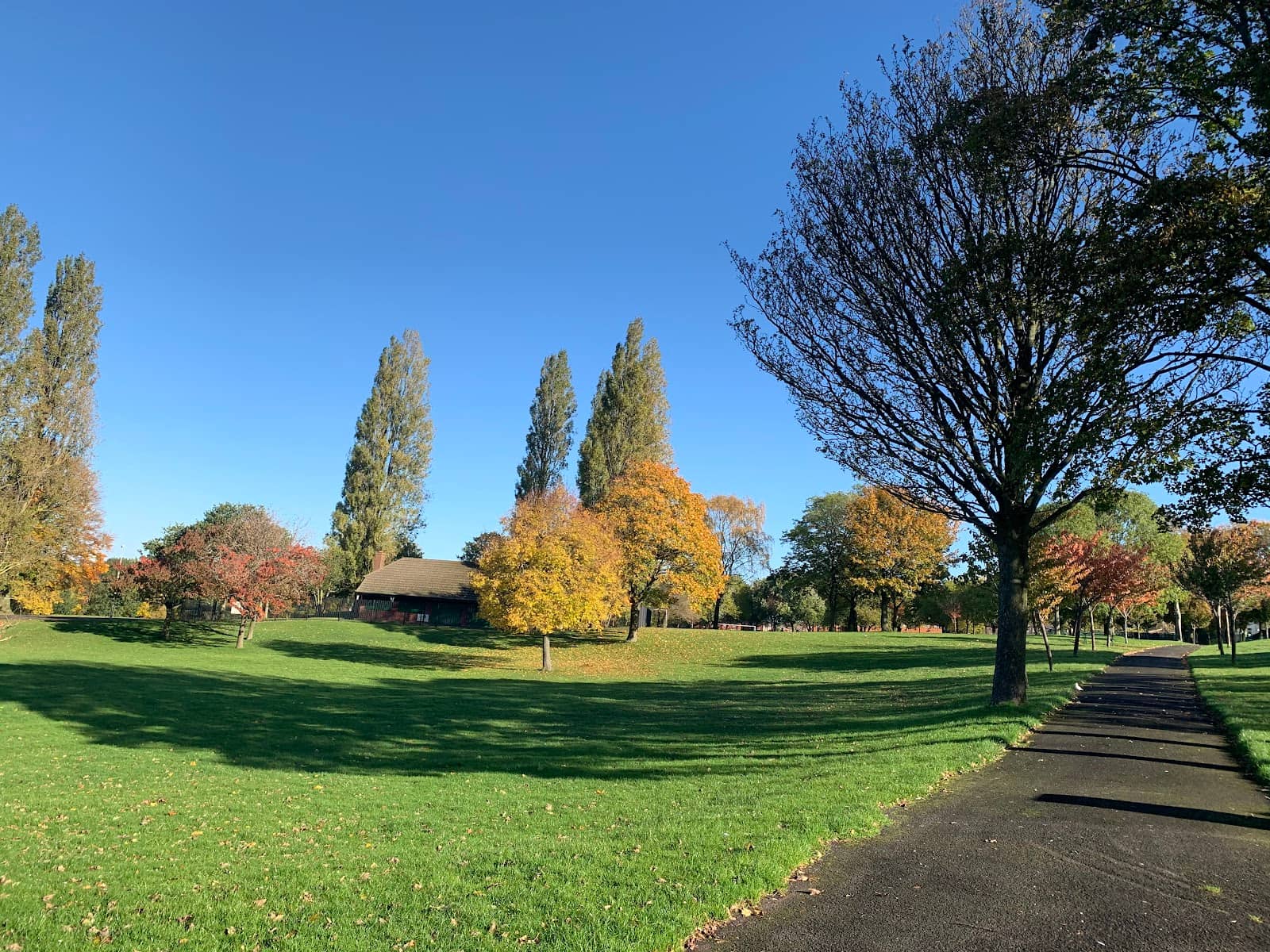 Park Pond & Wildlife
