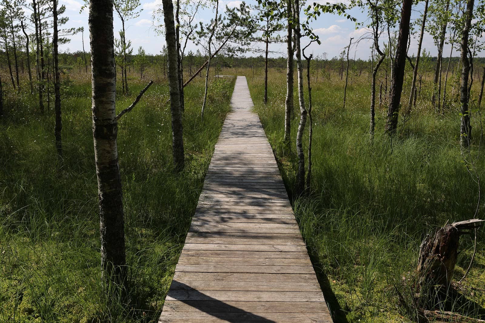 Waterways Exploration