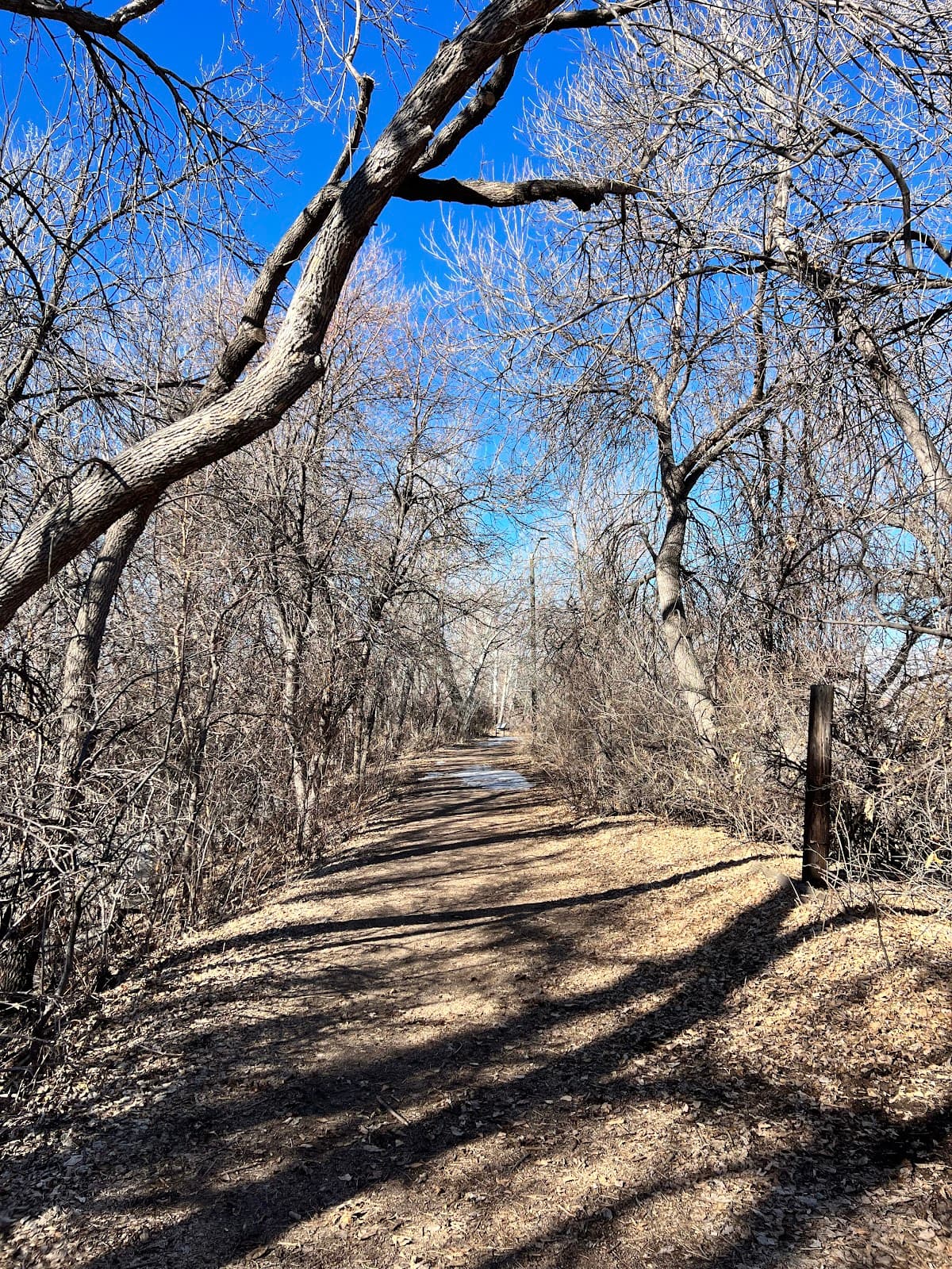 Semper Farm - Image 1